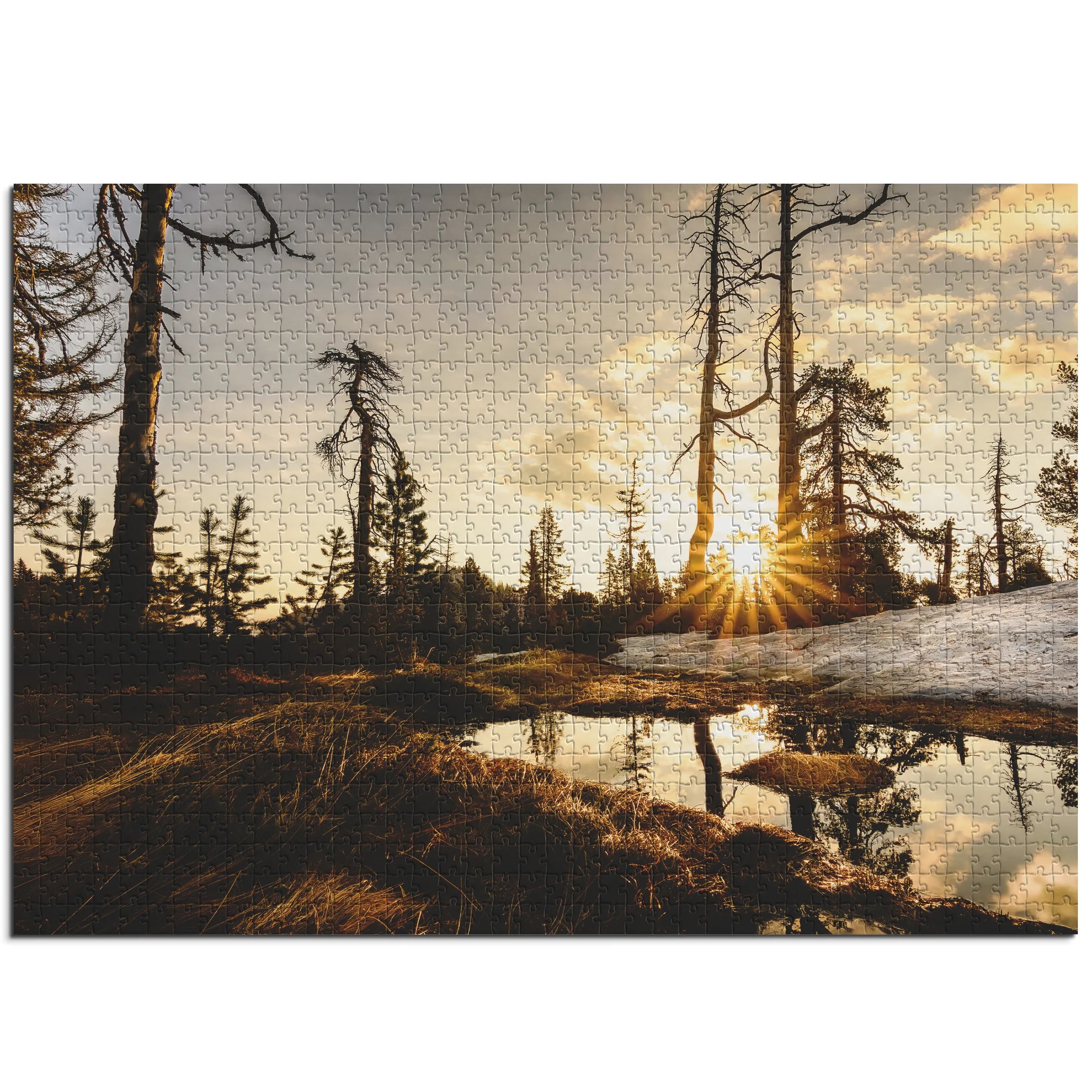 tourbière surélevée