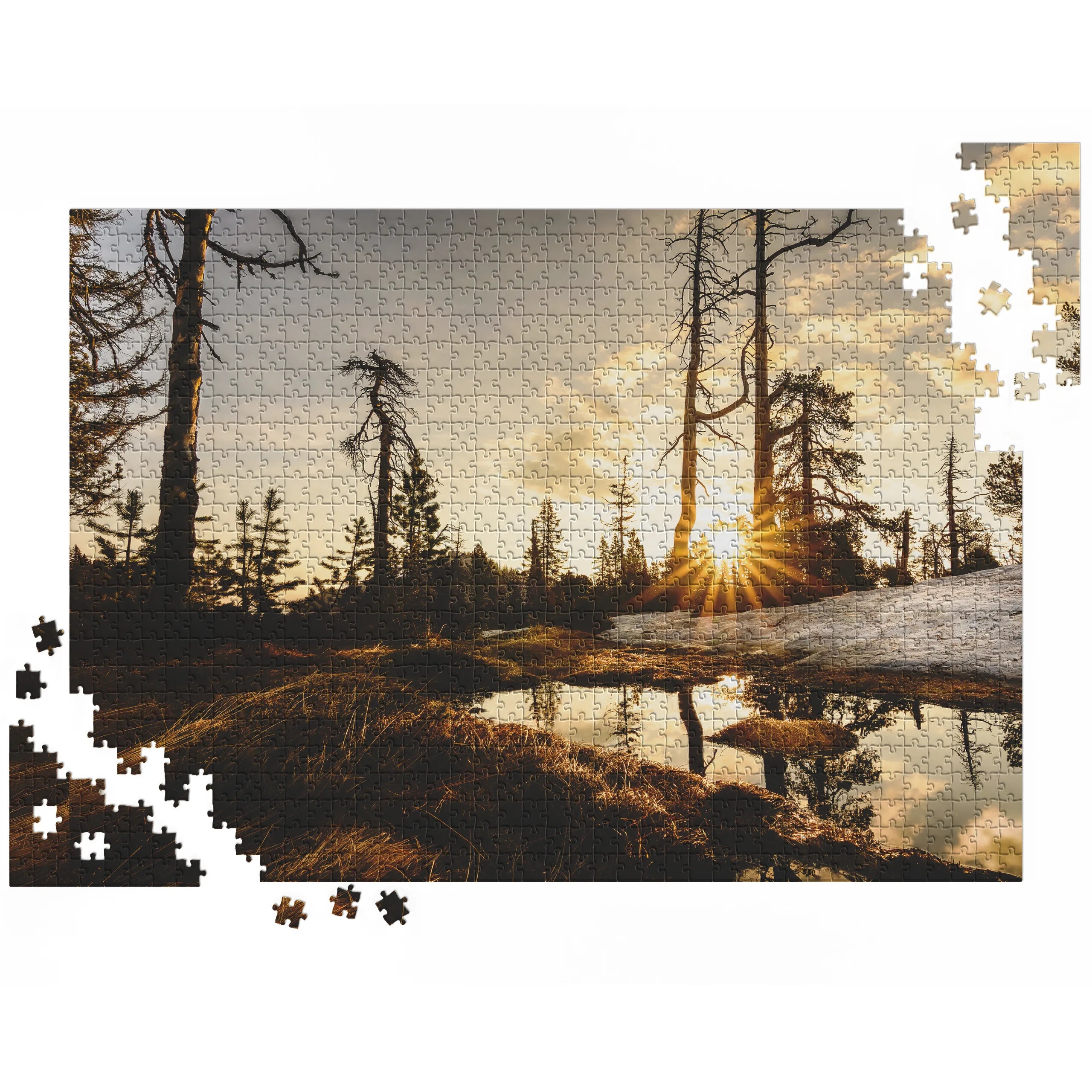 tourbière surélevée