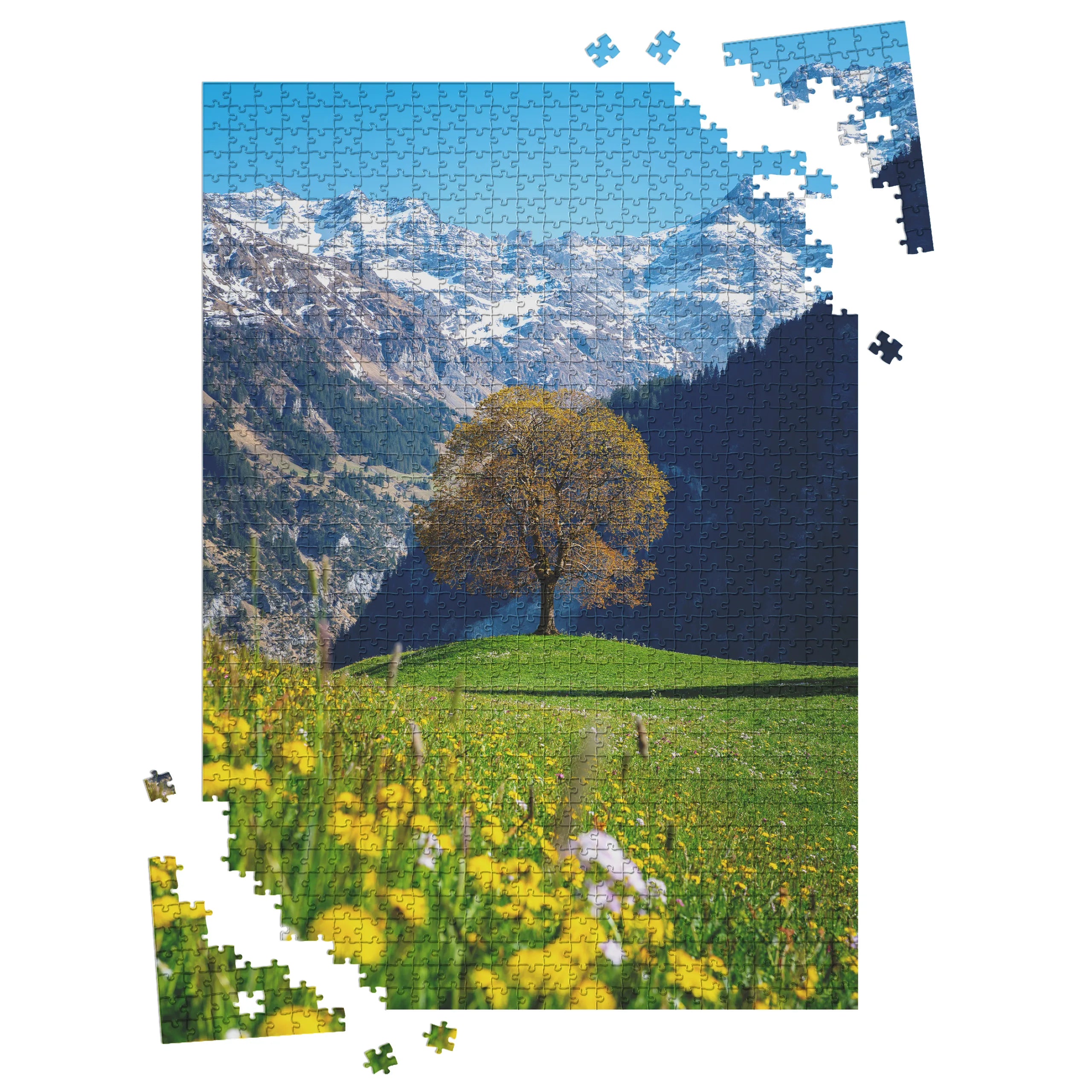 Frühling in den Bergen