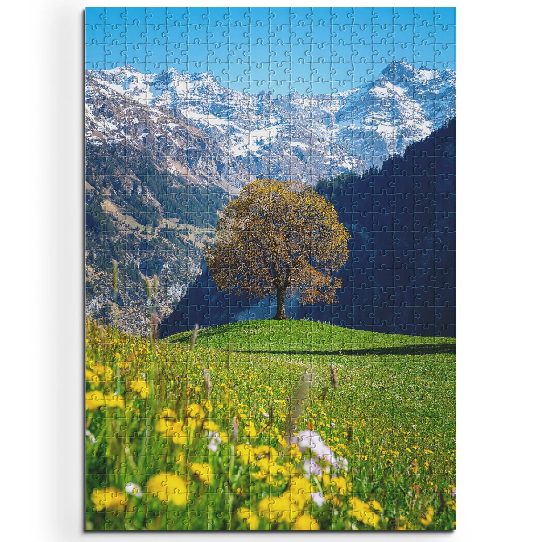 Frühling in den Bergen