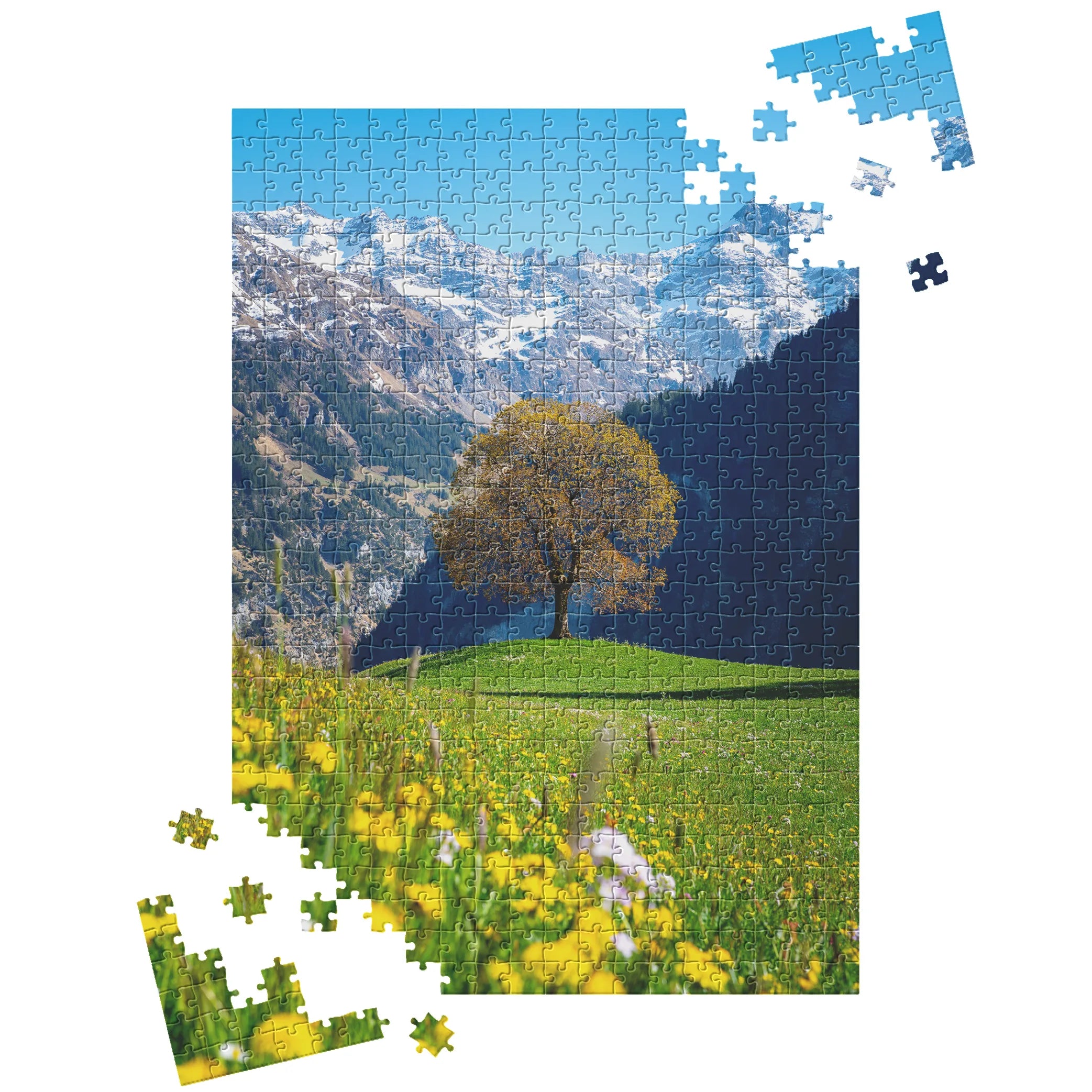 Frühling in den Bergen