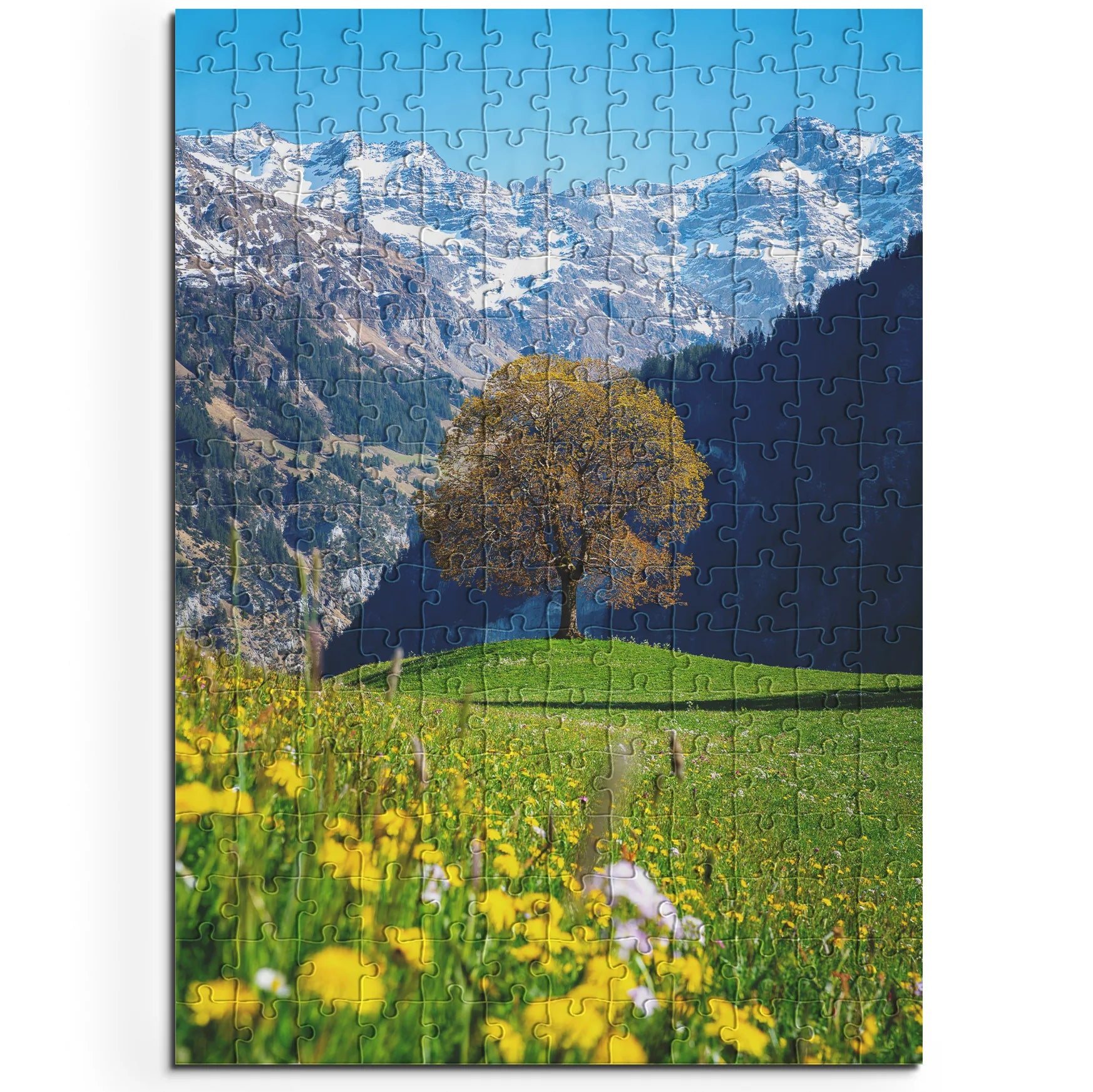 Frühling in den Bergen