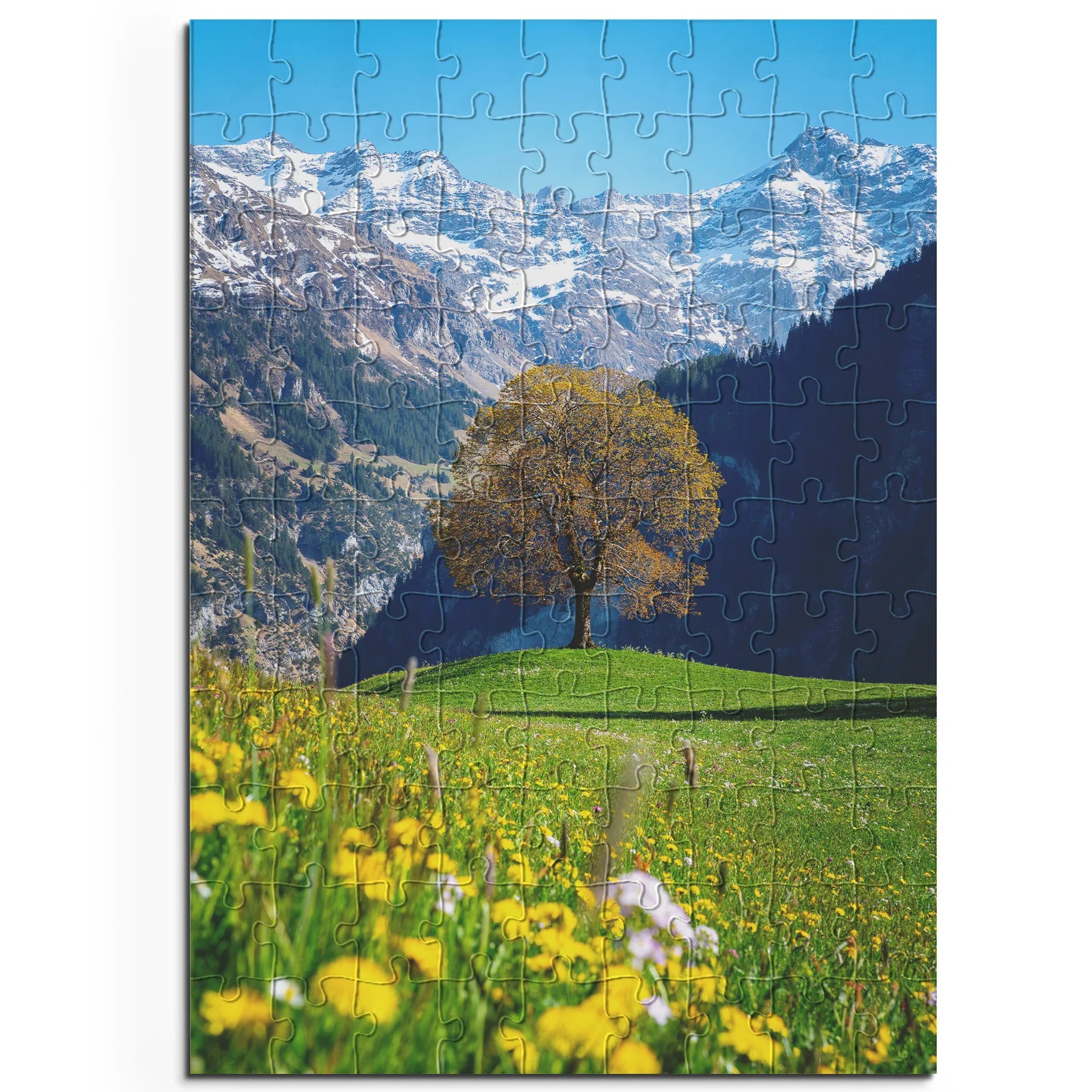 Frühling in den Bergen