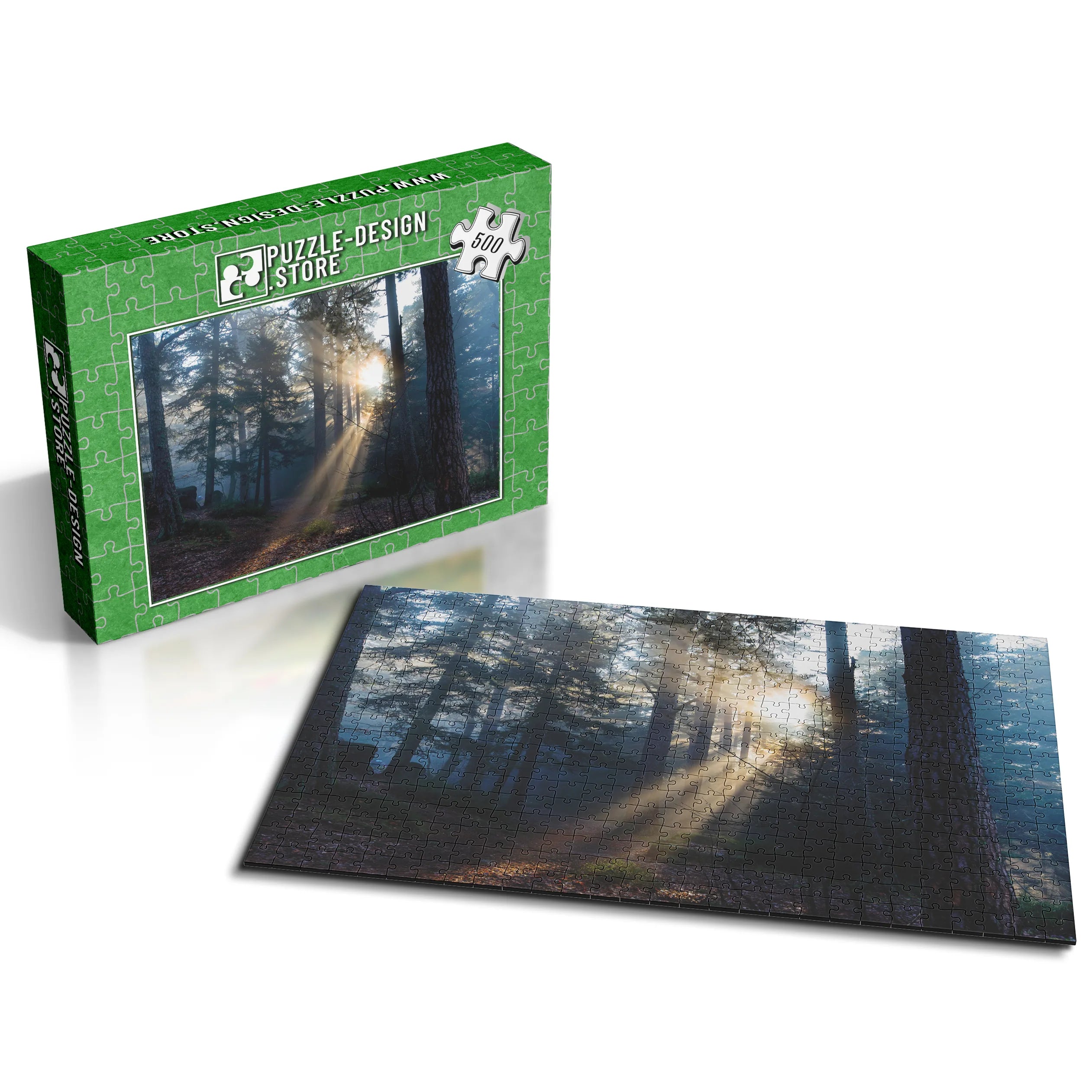 Lumière du matin dans la forêt