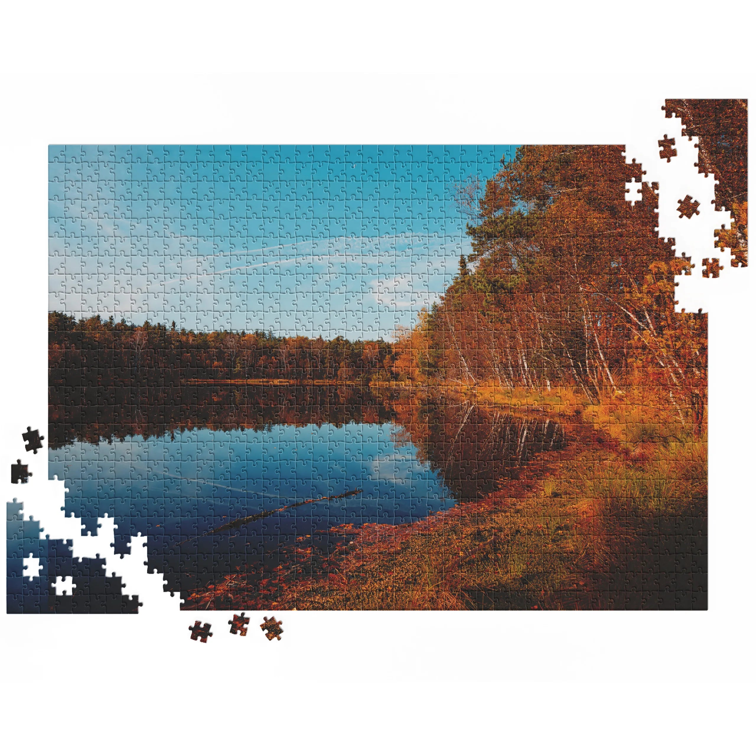 Herbstlicher Seeuferblick