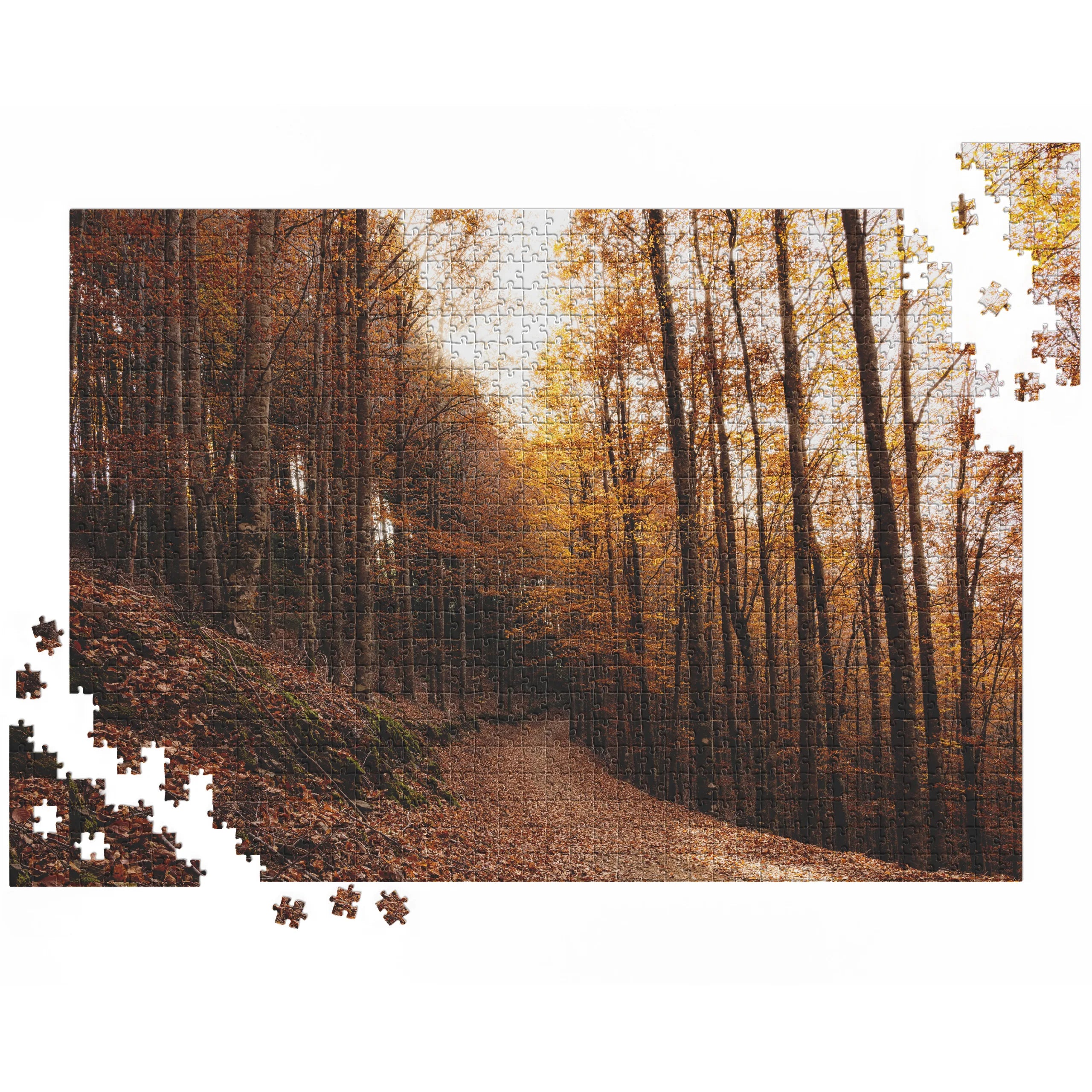 Goldener Buchenwaldweg