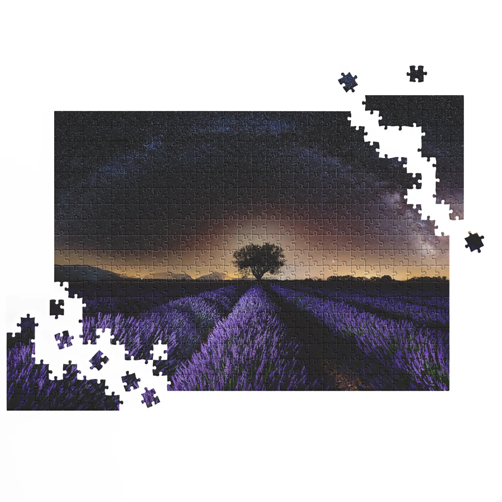 Champ de lavande la nuit