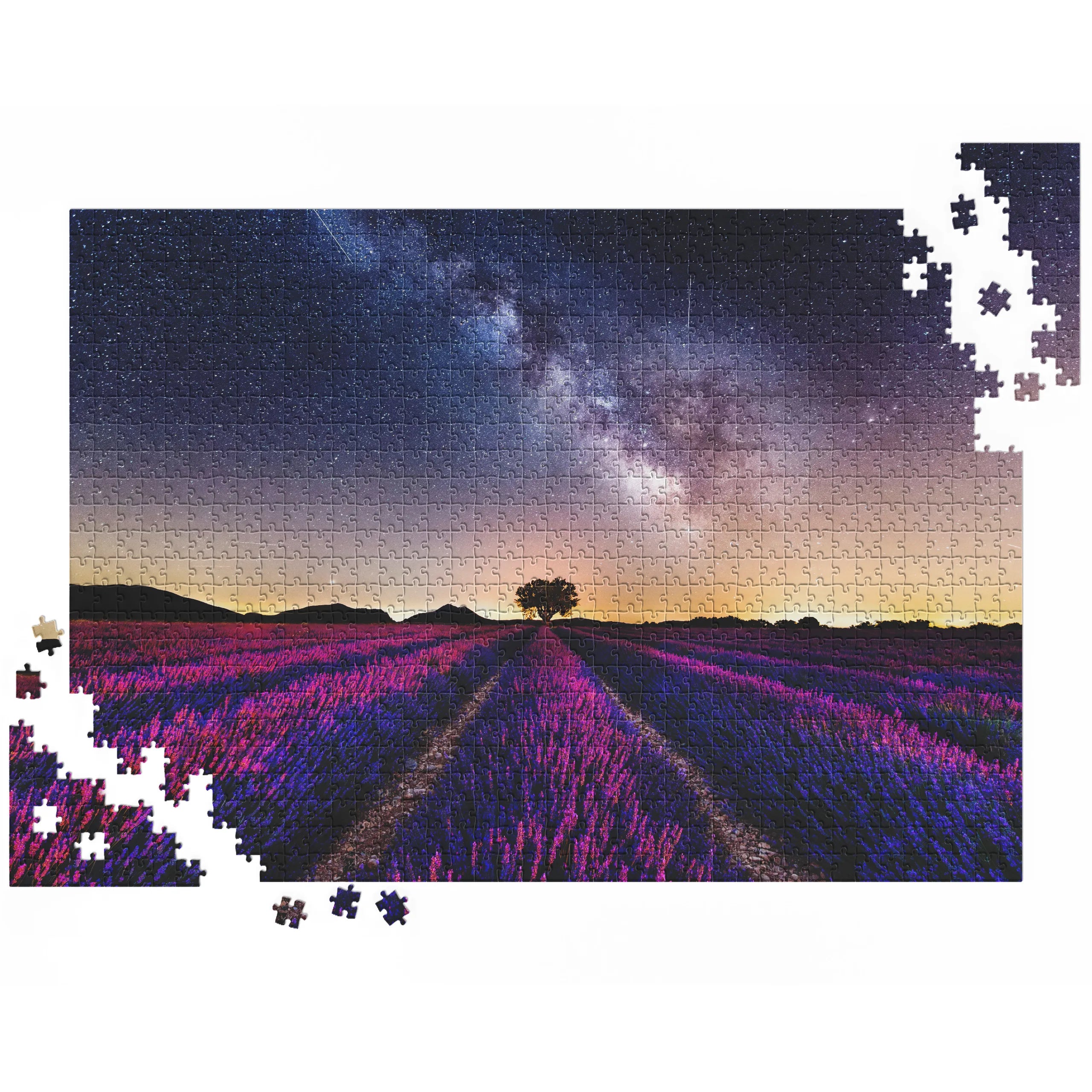 Farbenfrohes Lavendelfeld