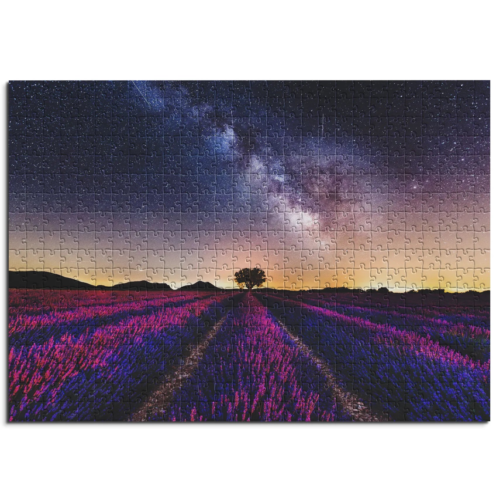 Farbenfrohes Lavendelfeld