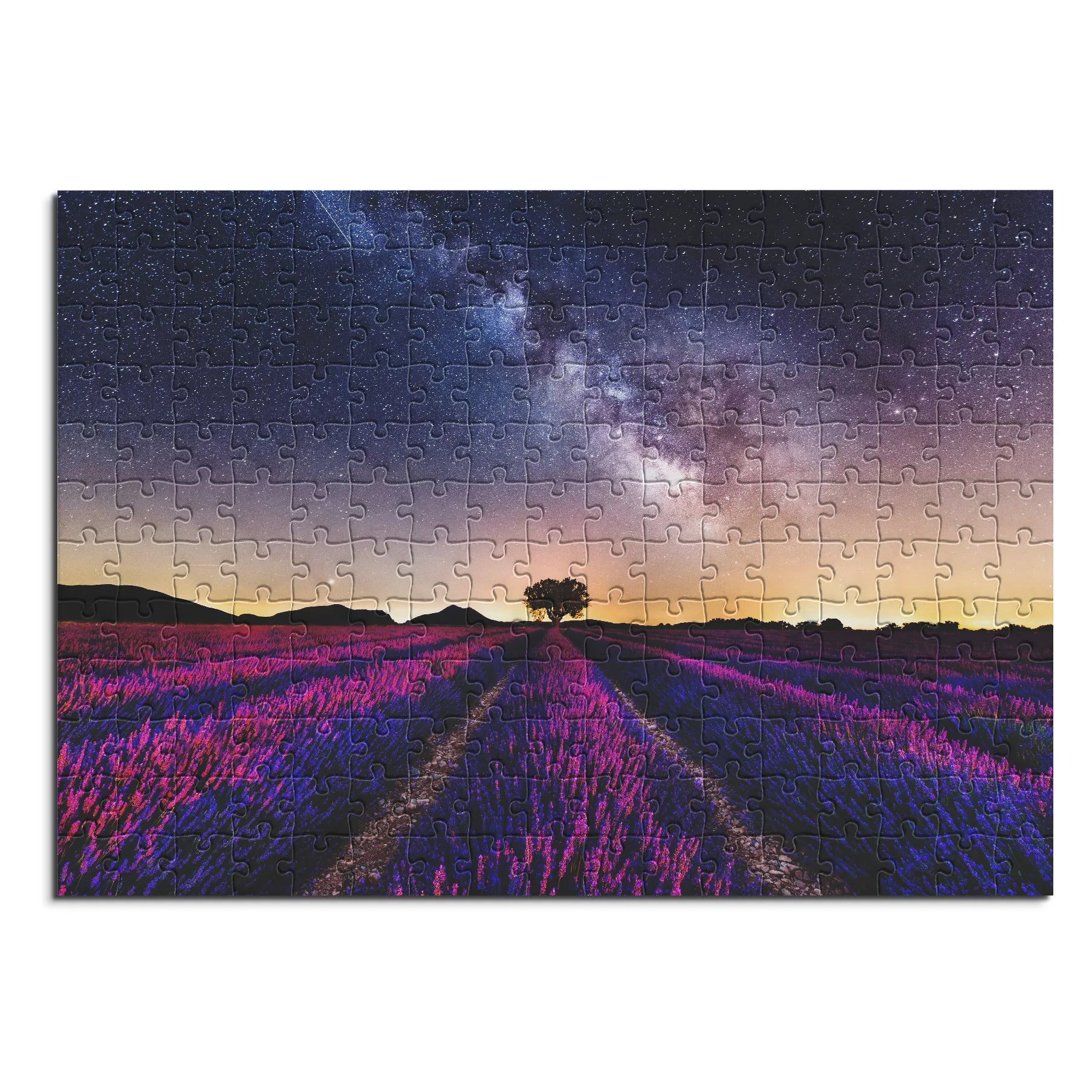 Farbenfrohes Lavendelfeld