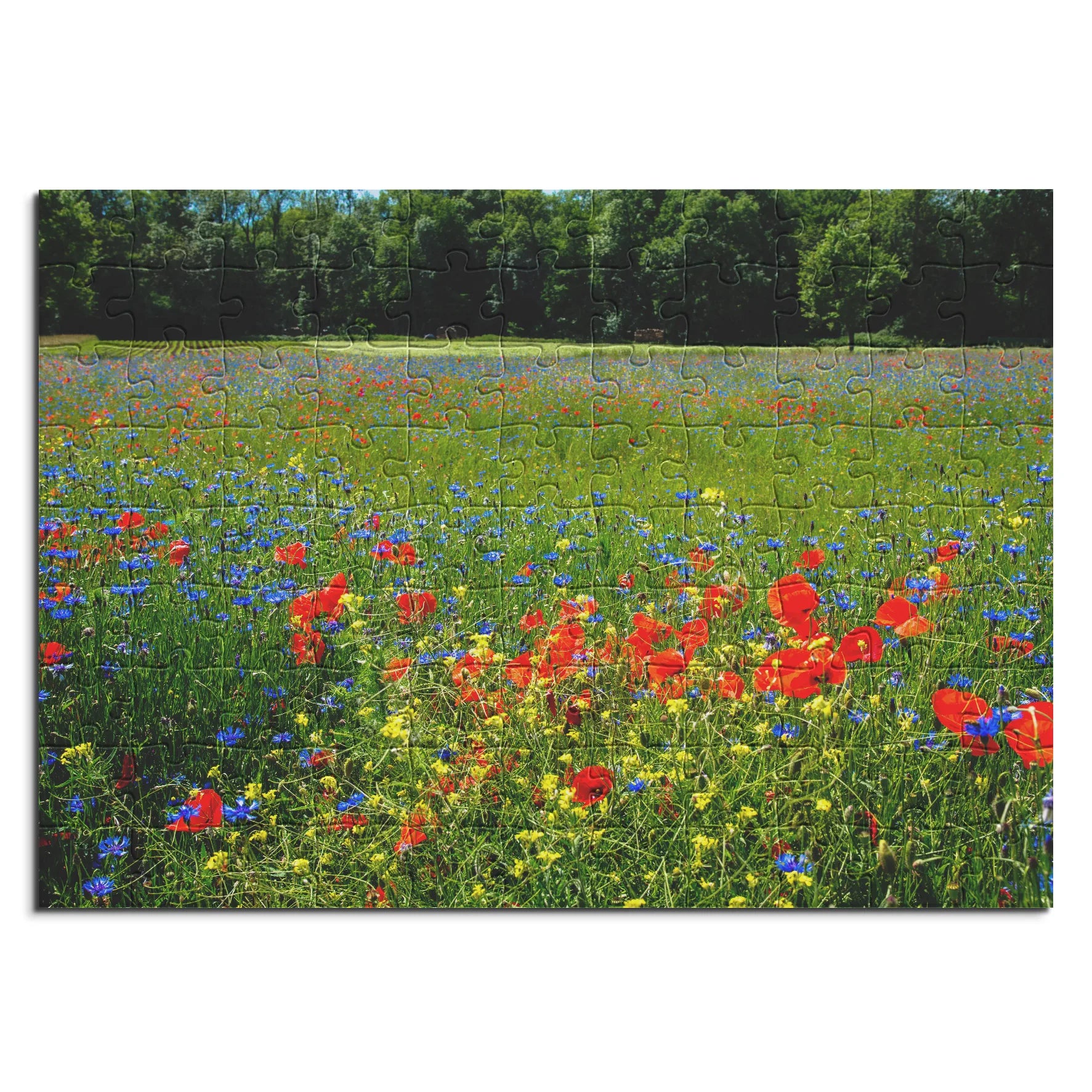 Wilde Blumenwiese