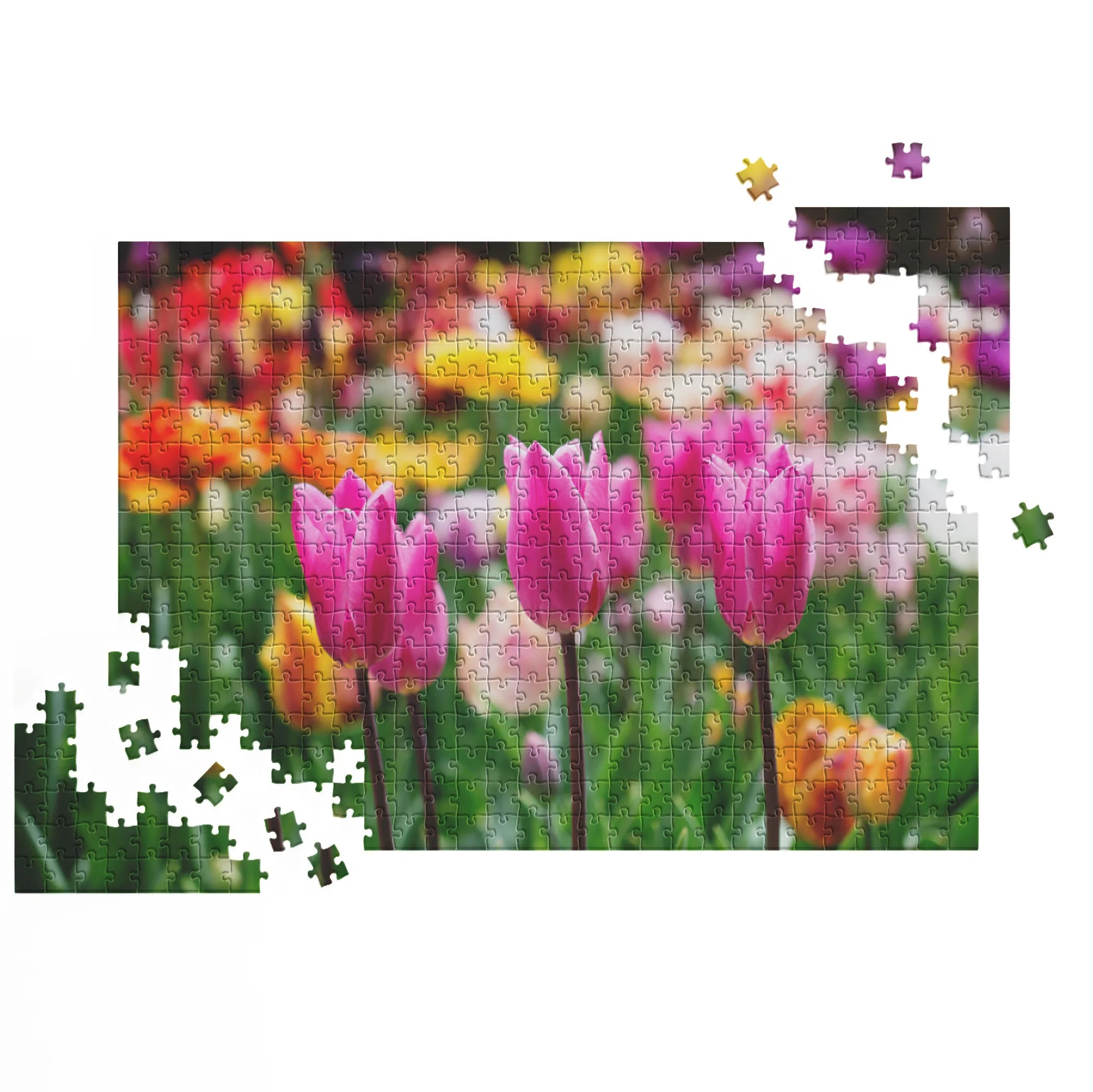 Pinkfarbene Tulpenpracht