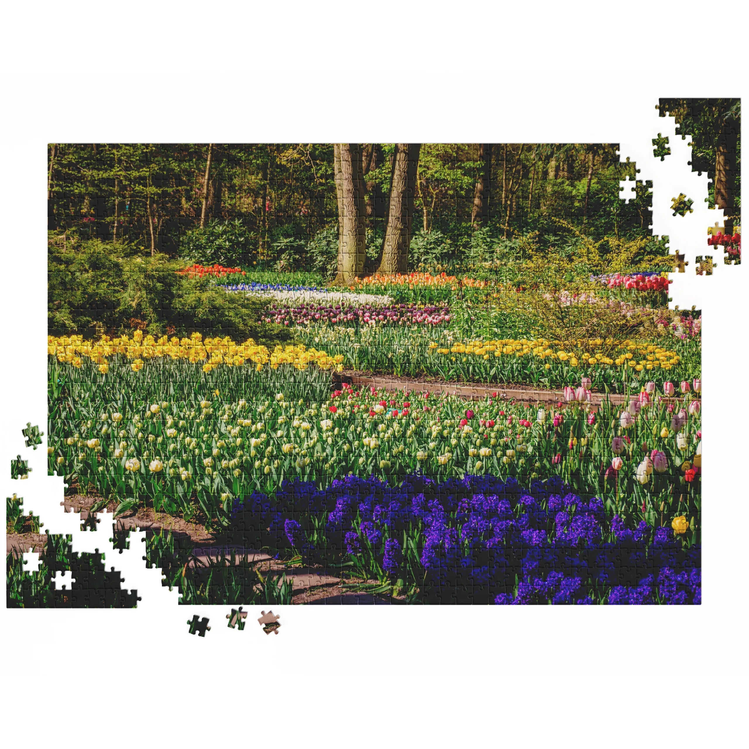 Farbenfroher Frühlingsgarten