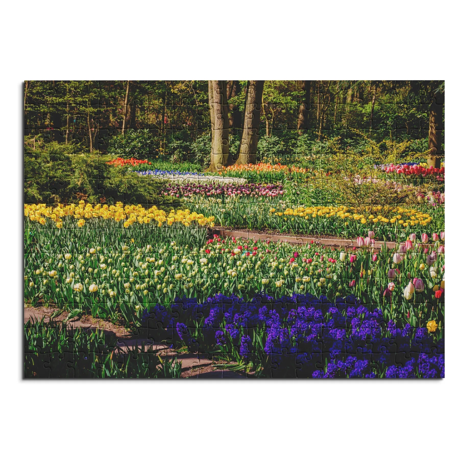 Farbenfroher Frühlingsgarten