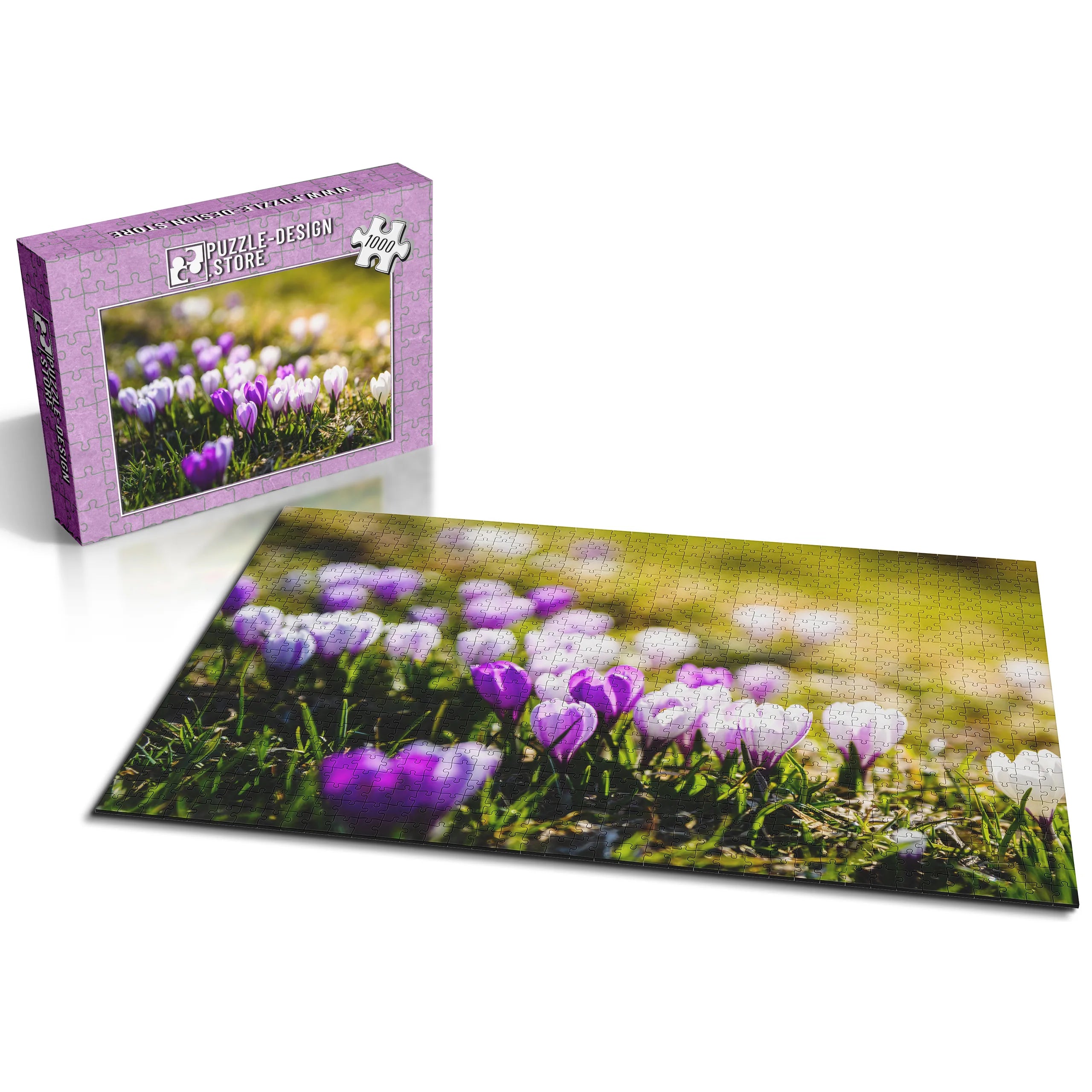 Frühlingshafte Krokusse