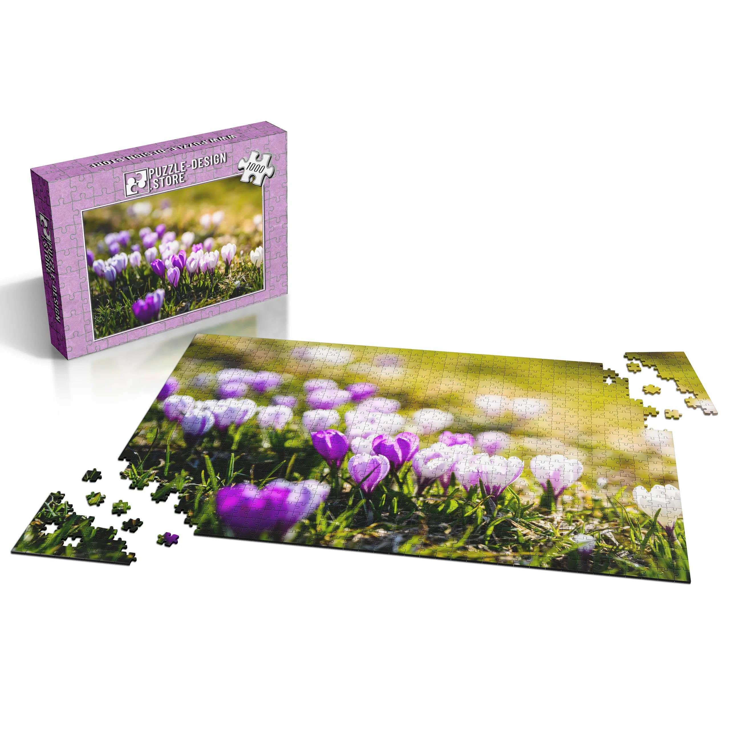 Frühlingshafte Krokusse