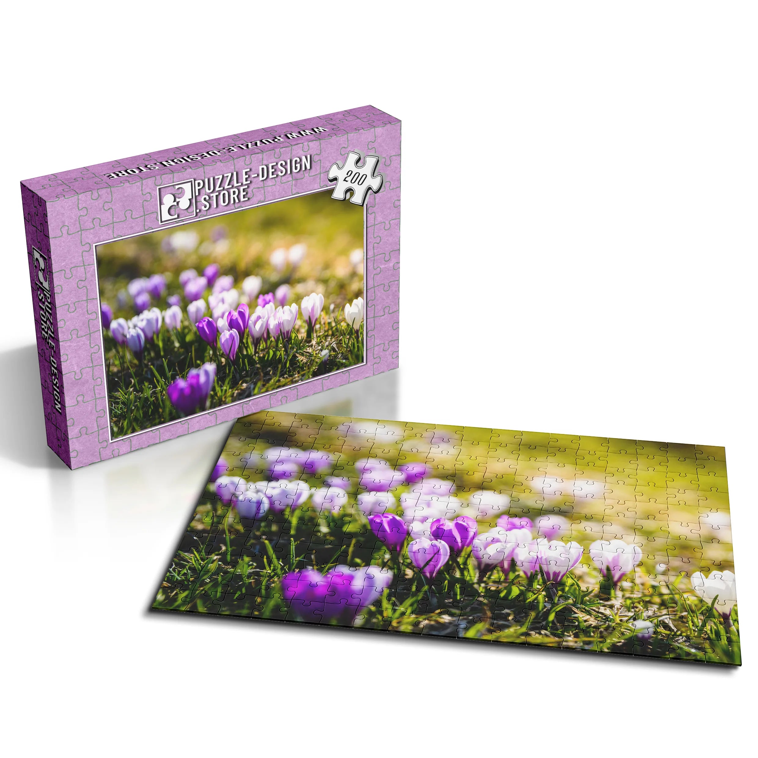 Frühlingshafte Krokusse