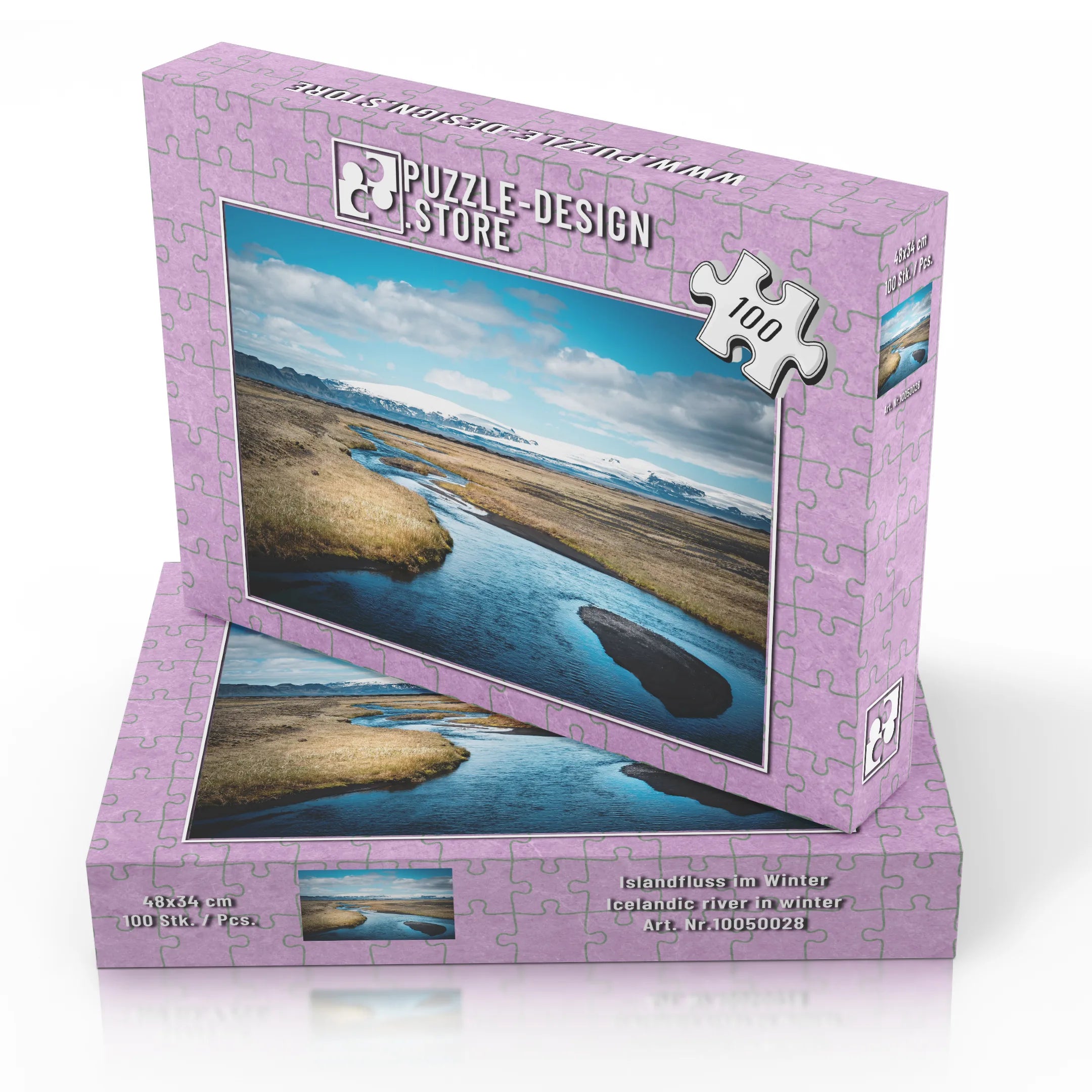 Islandfluss im Winter