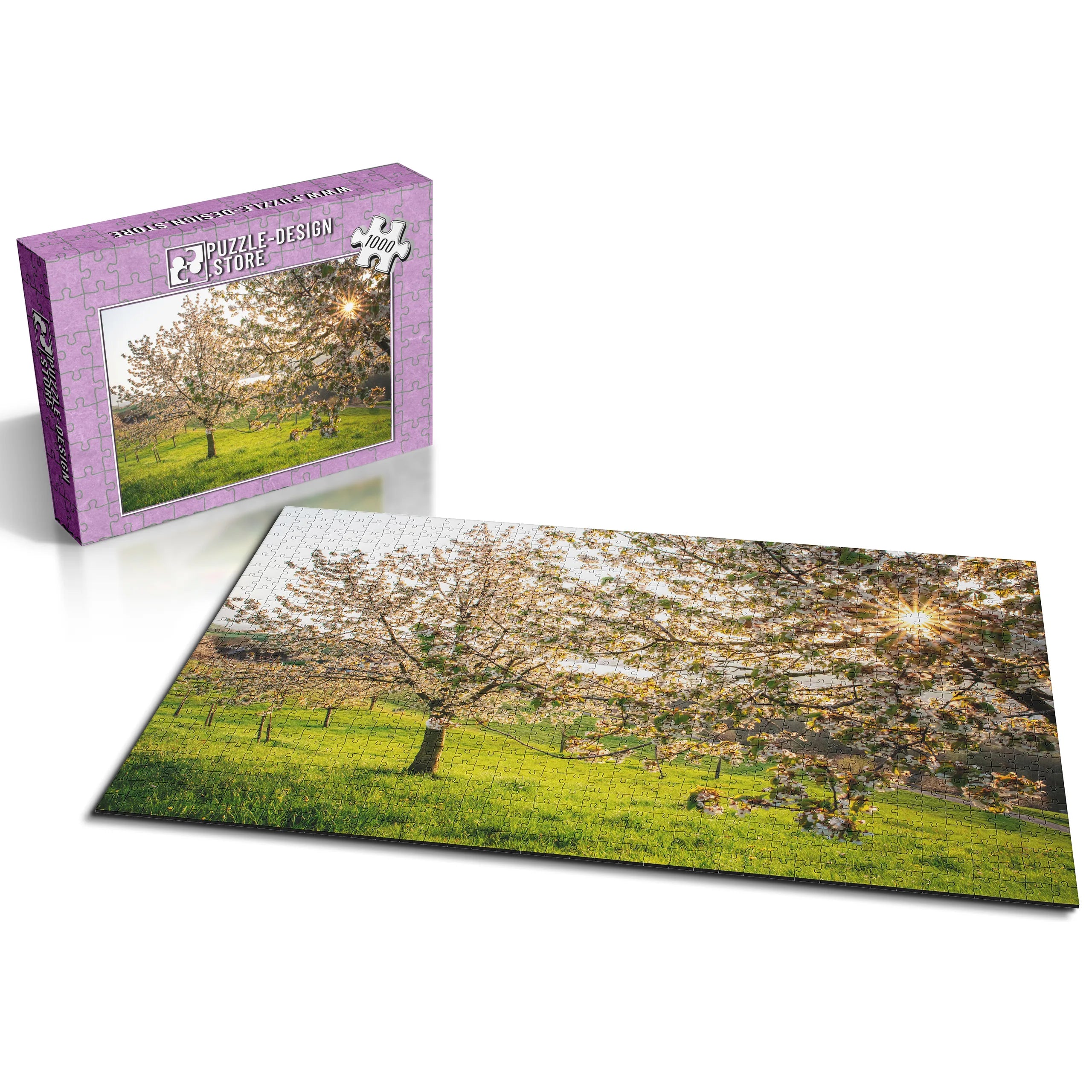 Blühende Kirschbäume