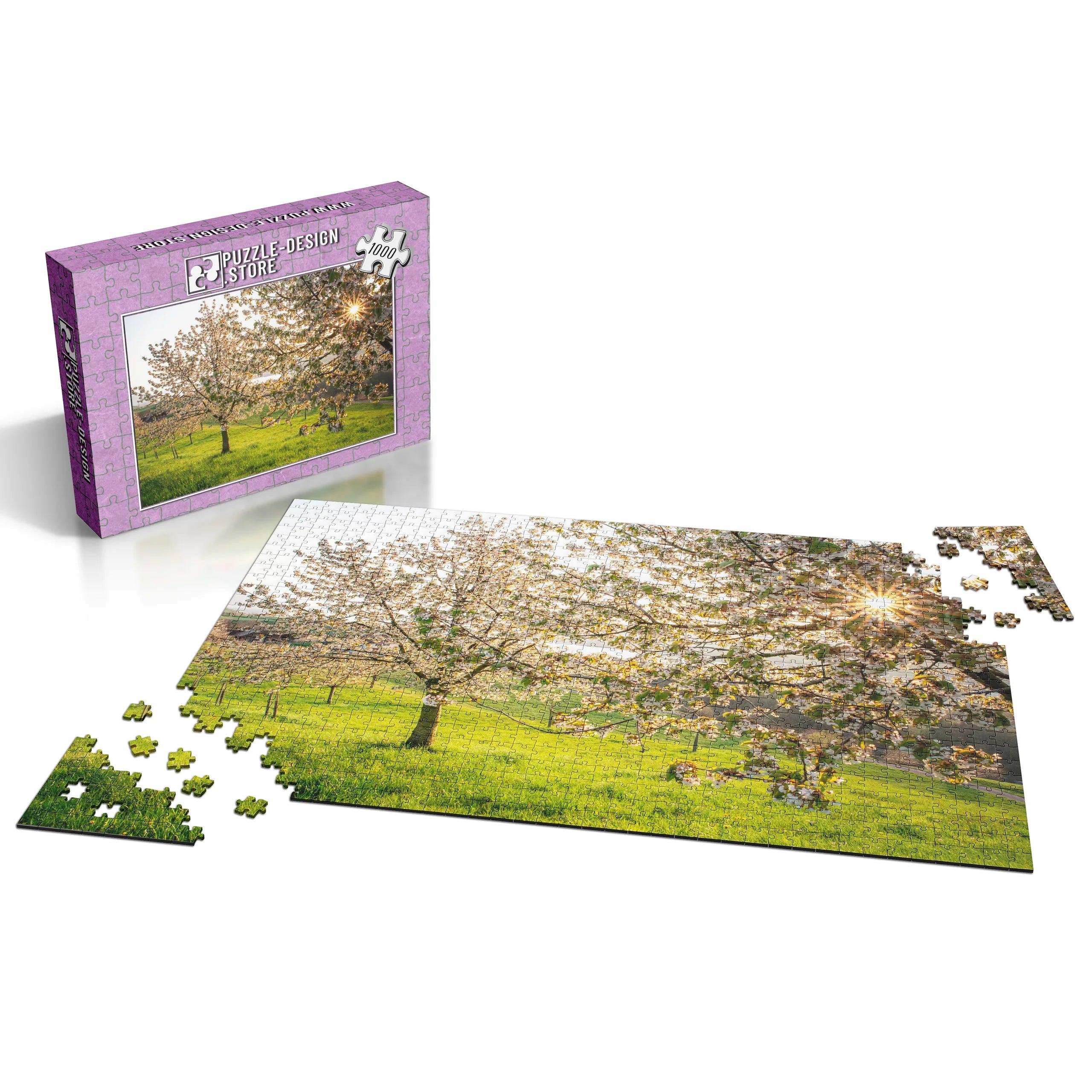 Blühende Kirschbäume