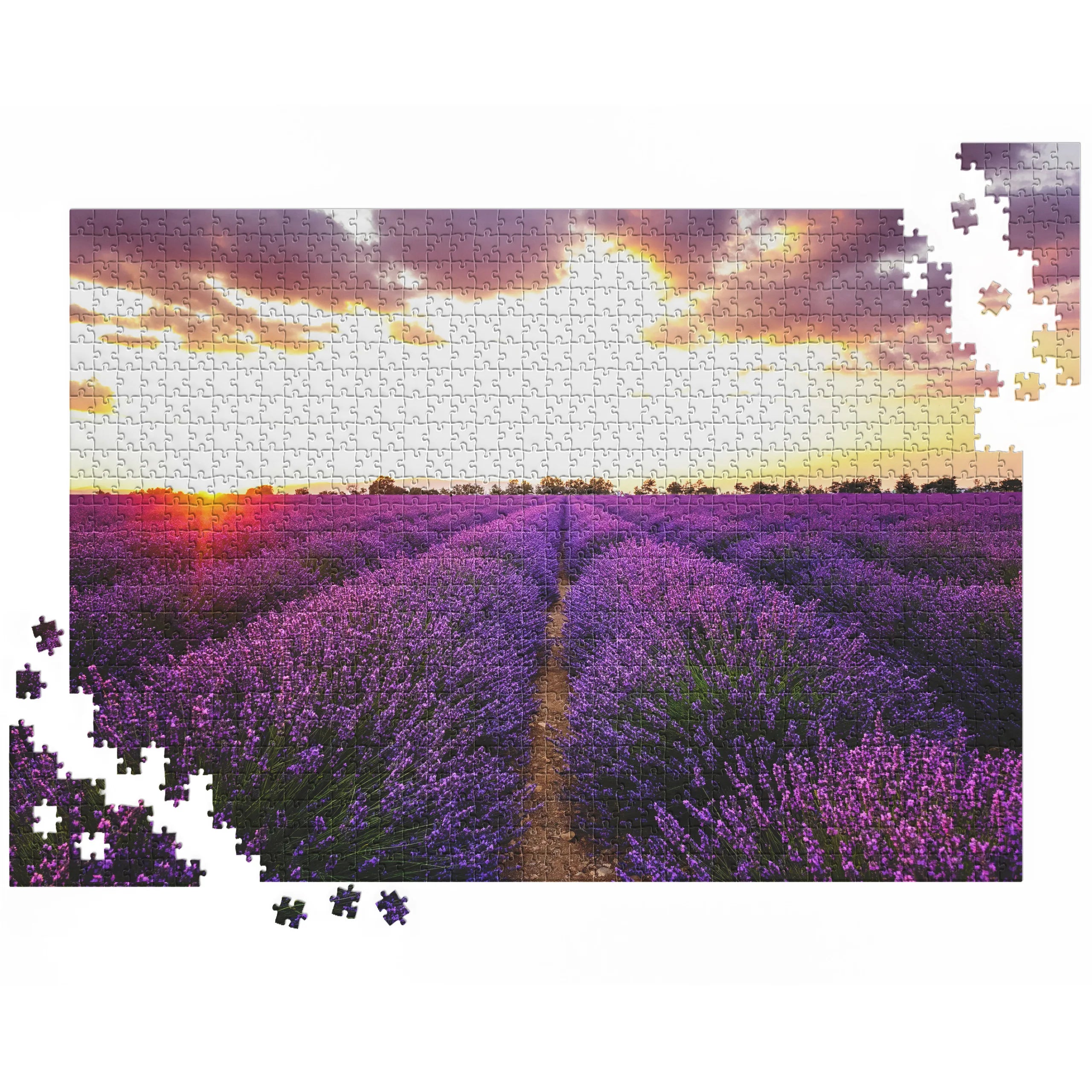 Lavendelfeld bei Sonnenuntergang