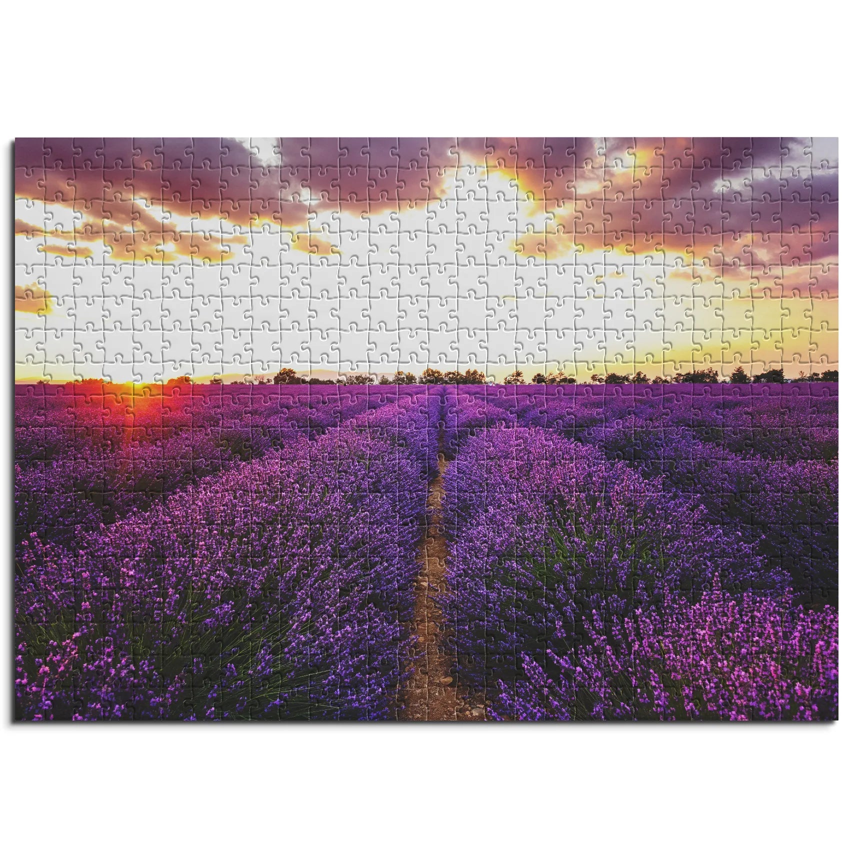 Lavendelfeld bei Sonnenuntergang