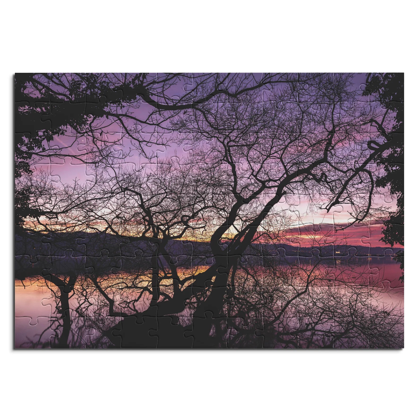 Soirée magique de l'arbre