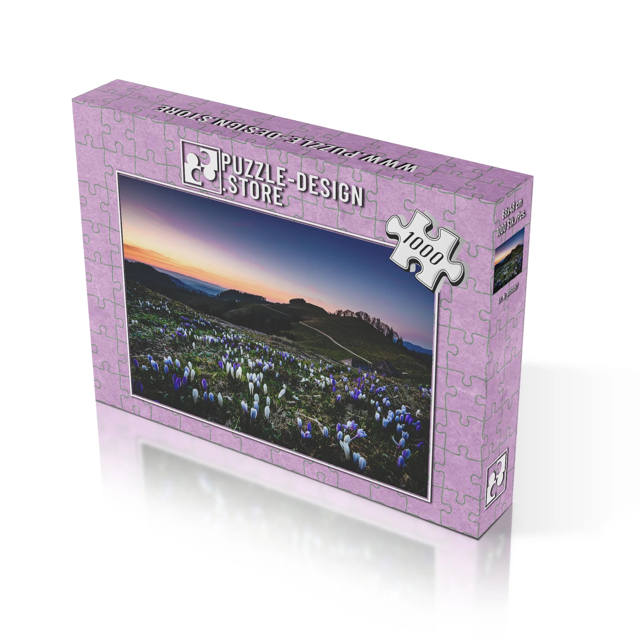 Krokusse im Abendlicht