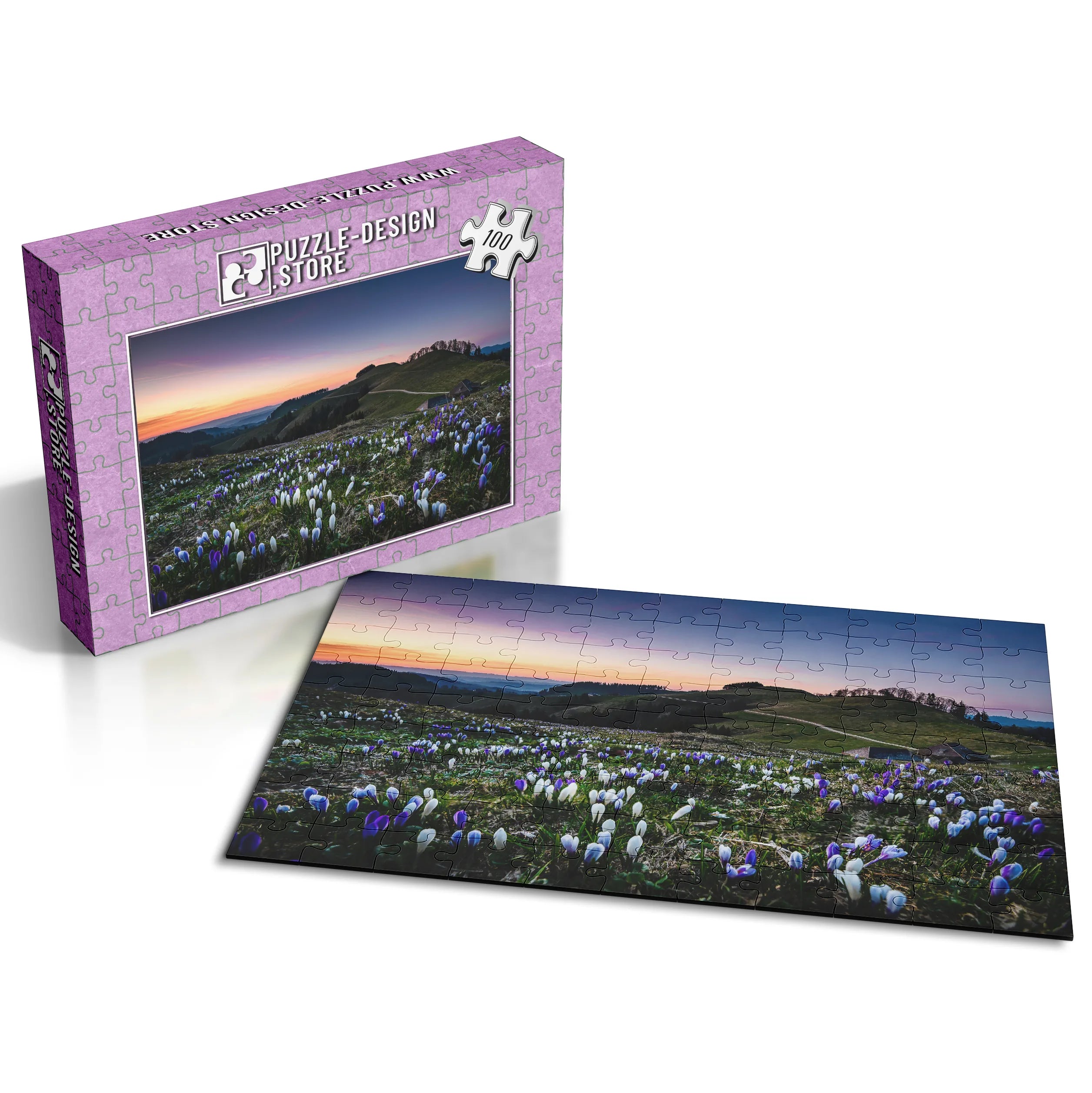 Crocus dans la lumière du soir