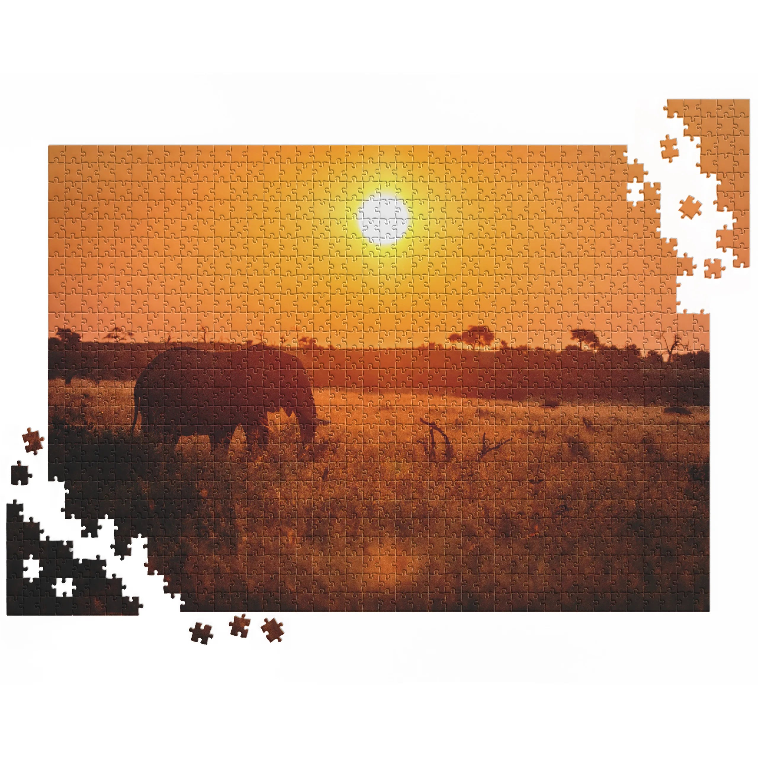 Elefant bei Sonnenuntergang