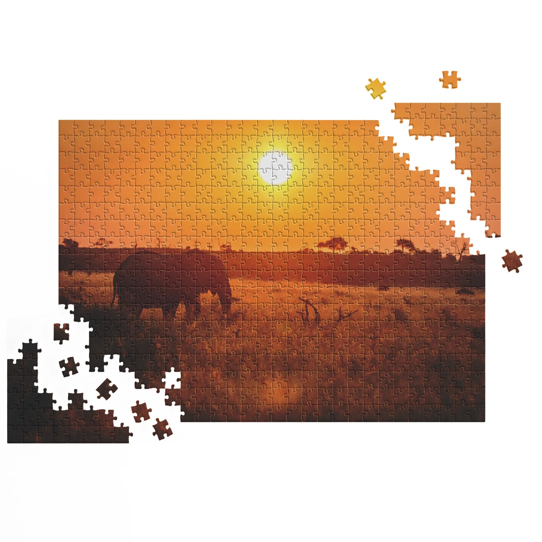 Elefant bei Sonnenuntergang