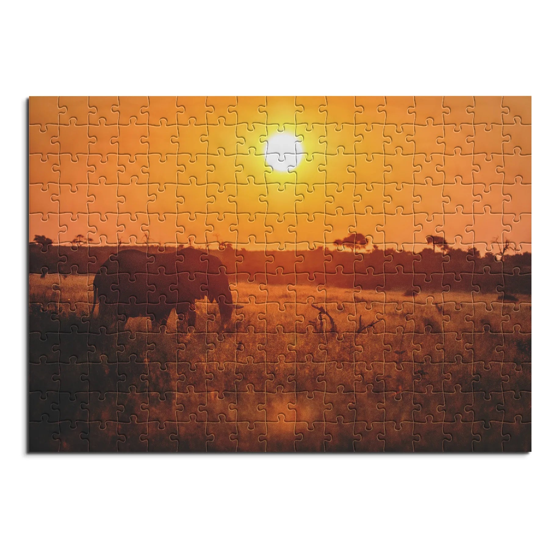 Elefant bei Sonnenuntergang