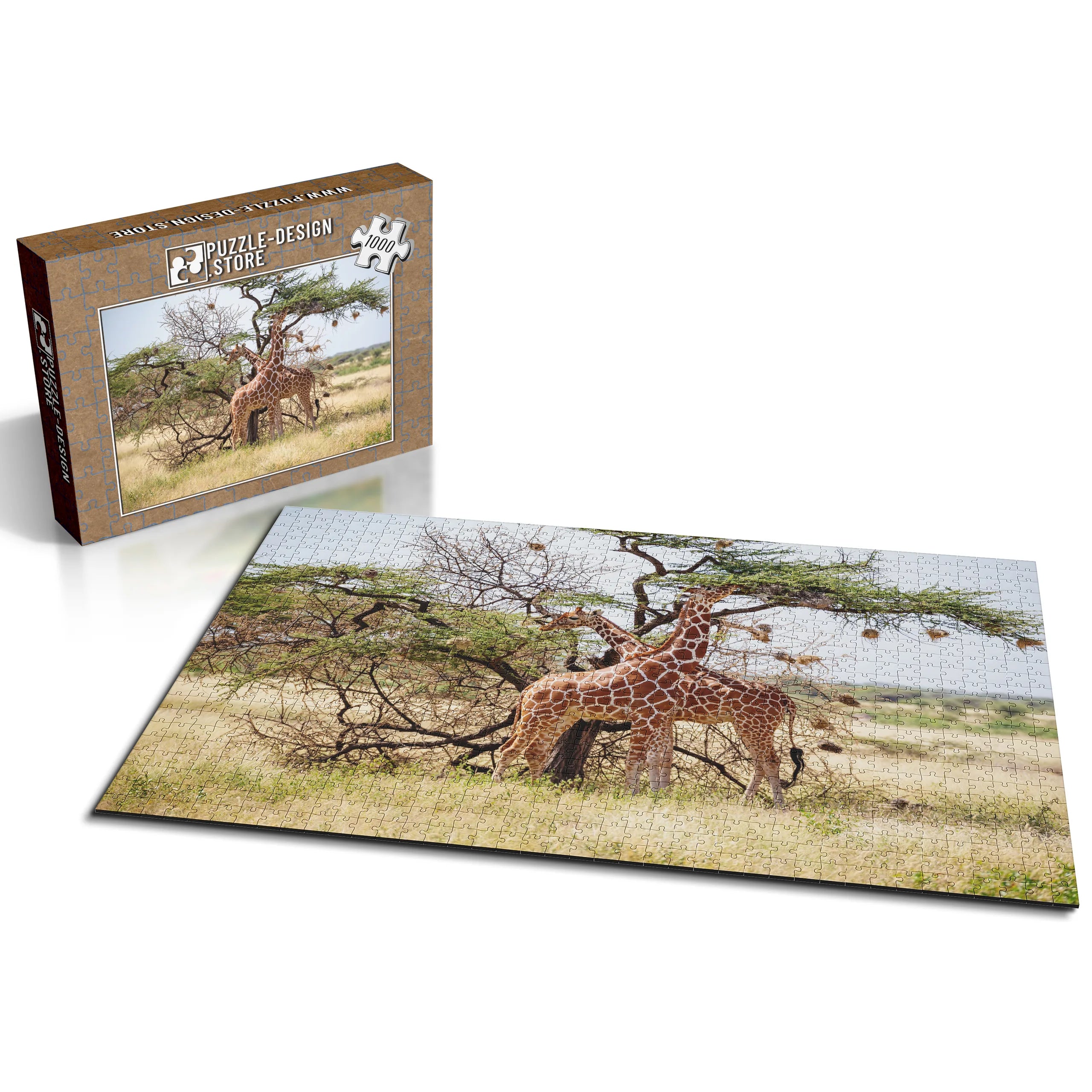 Giraffen unter Akazienbaum