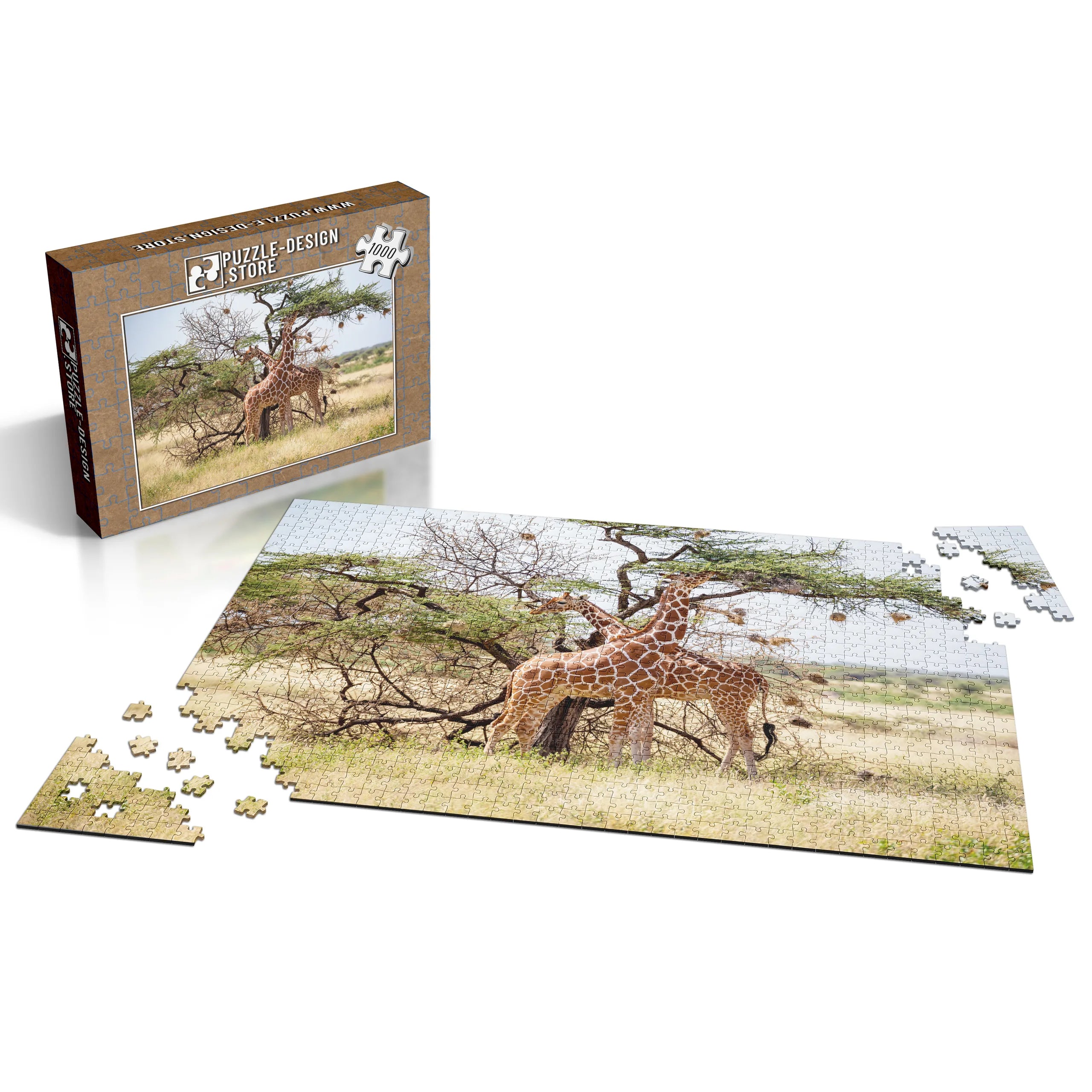 Giraffen unter Akazienbaum