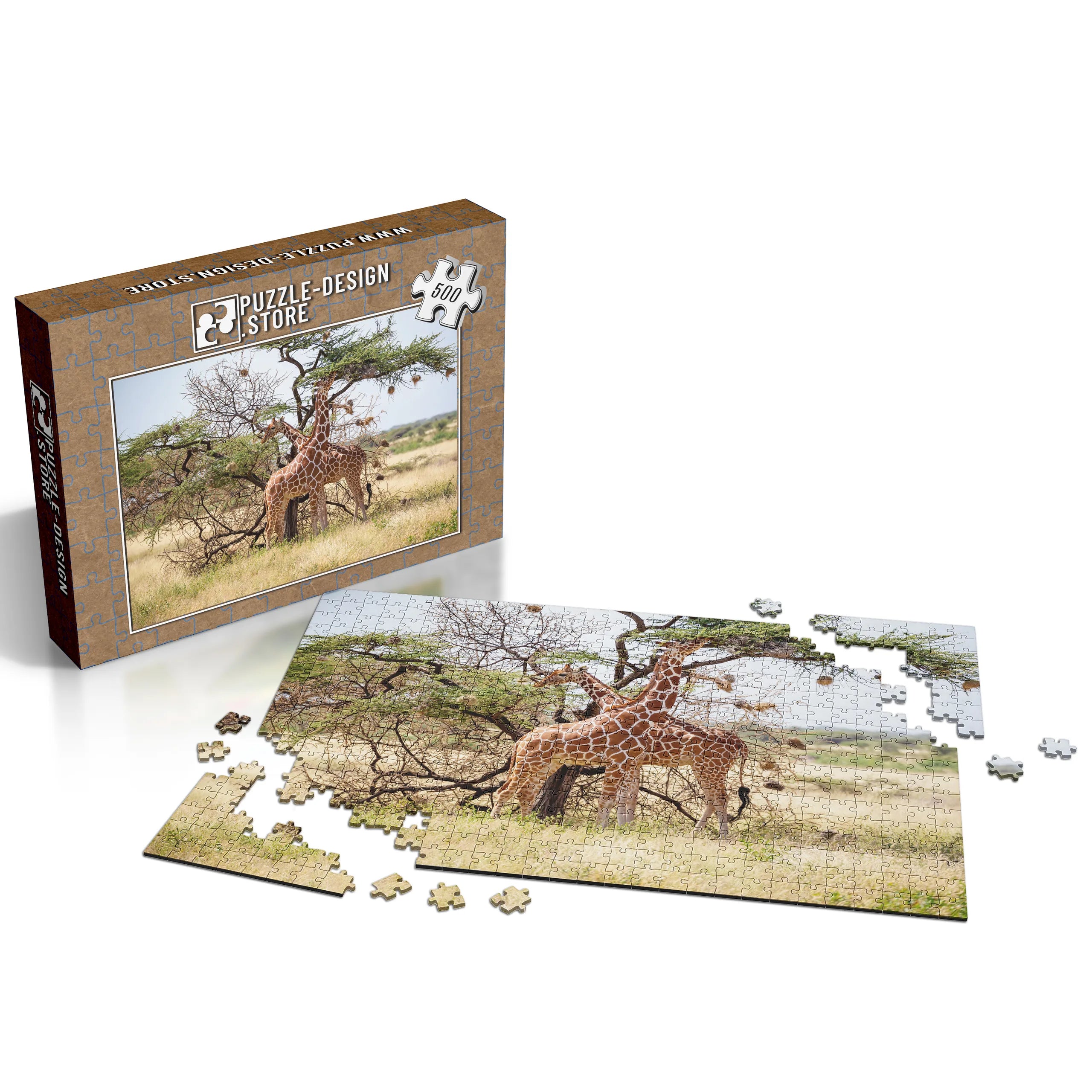 Giraffen unter Akazienbaum