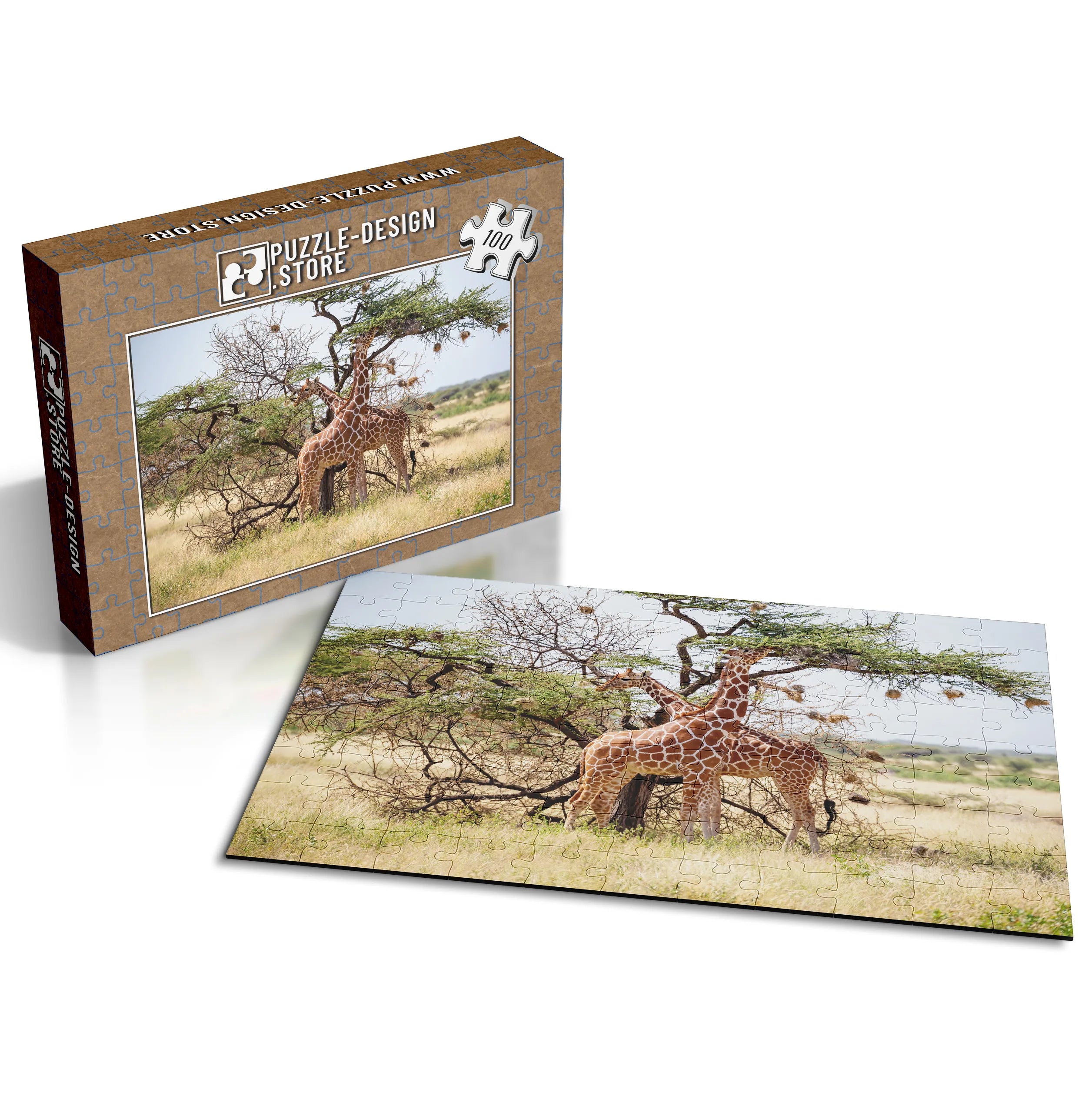 Giraffen unter Akazienbaum