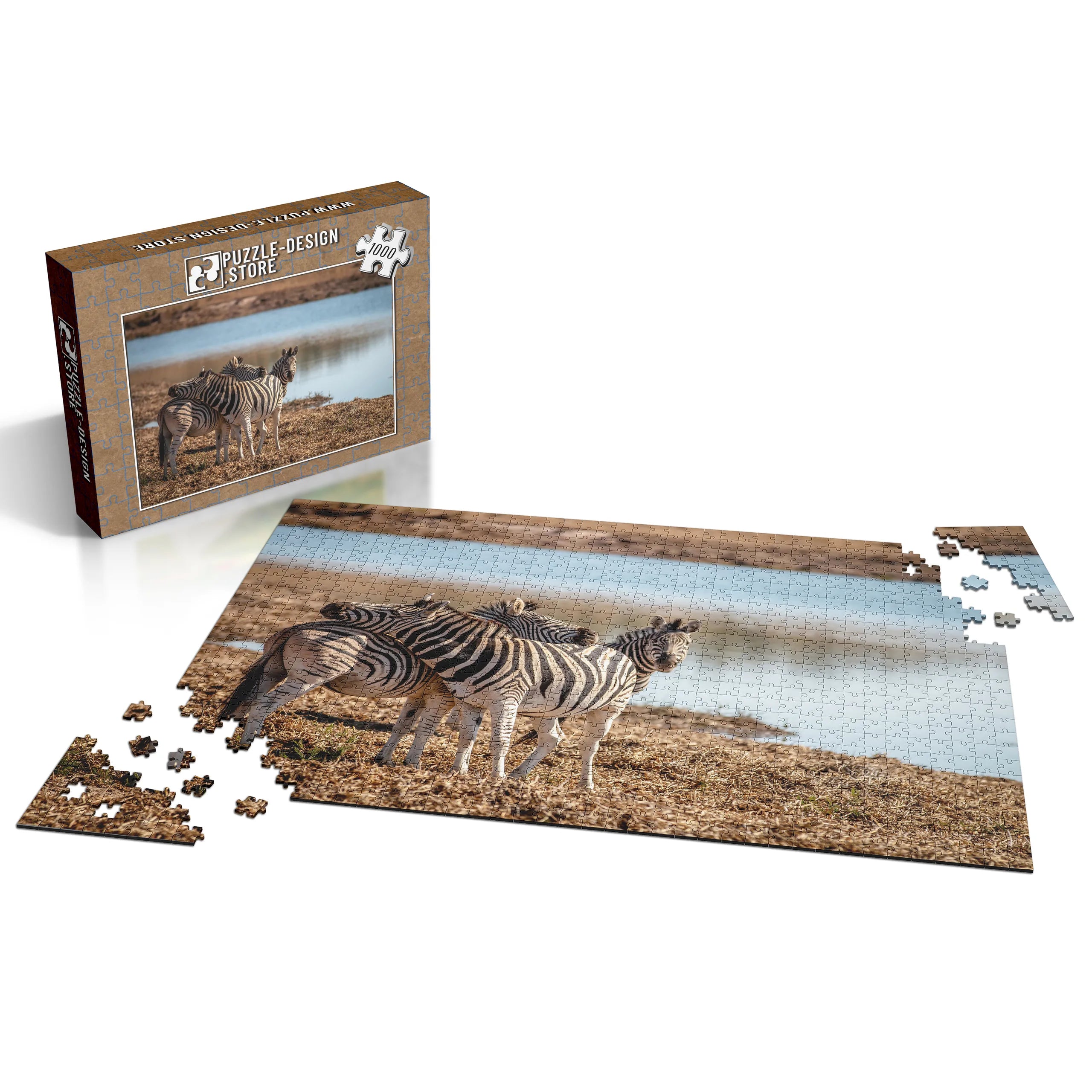 Zebras am Wasserloch