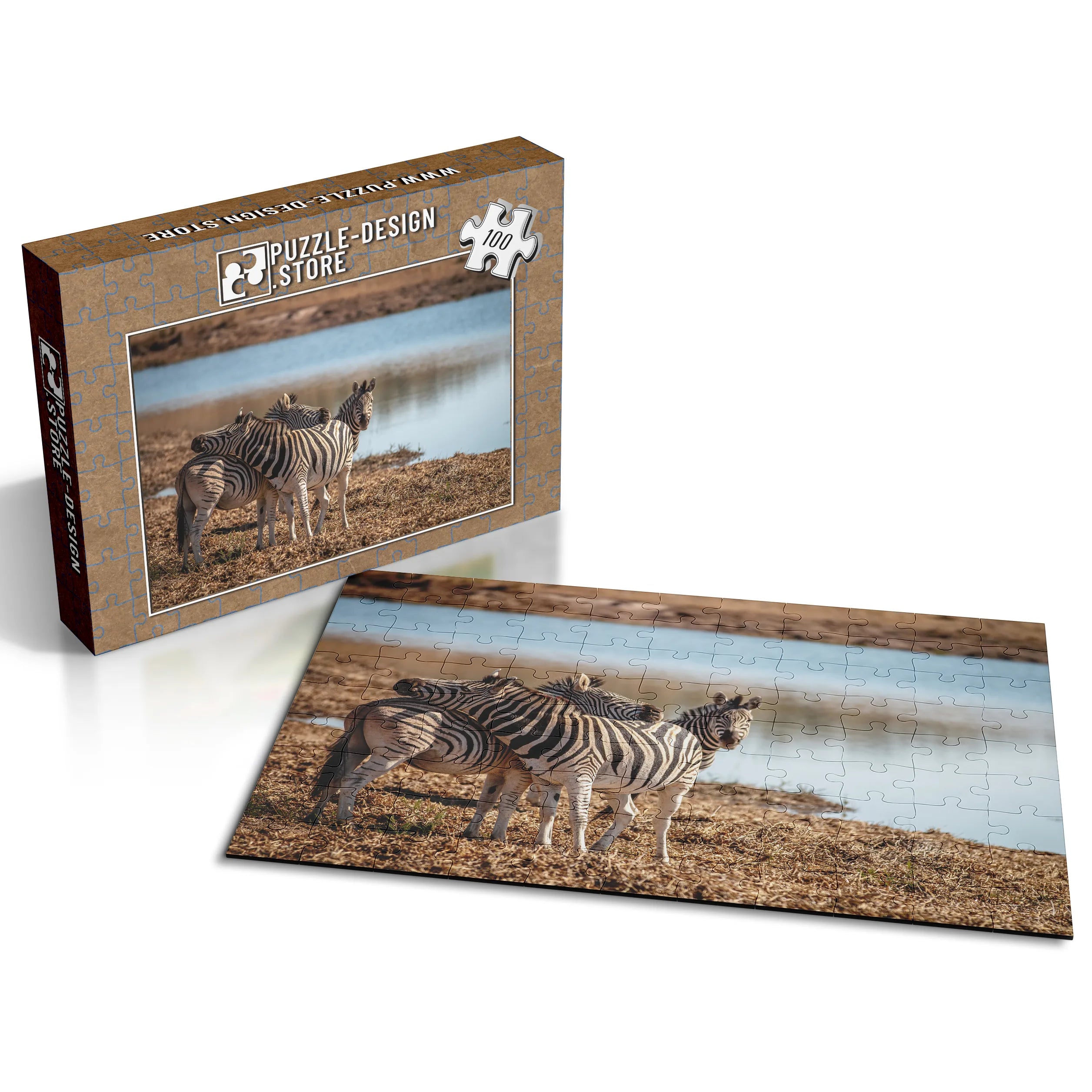 Des zèbres au point d'eau