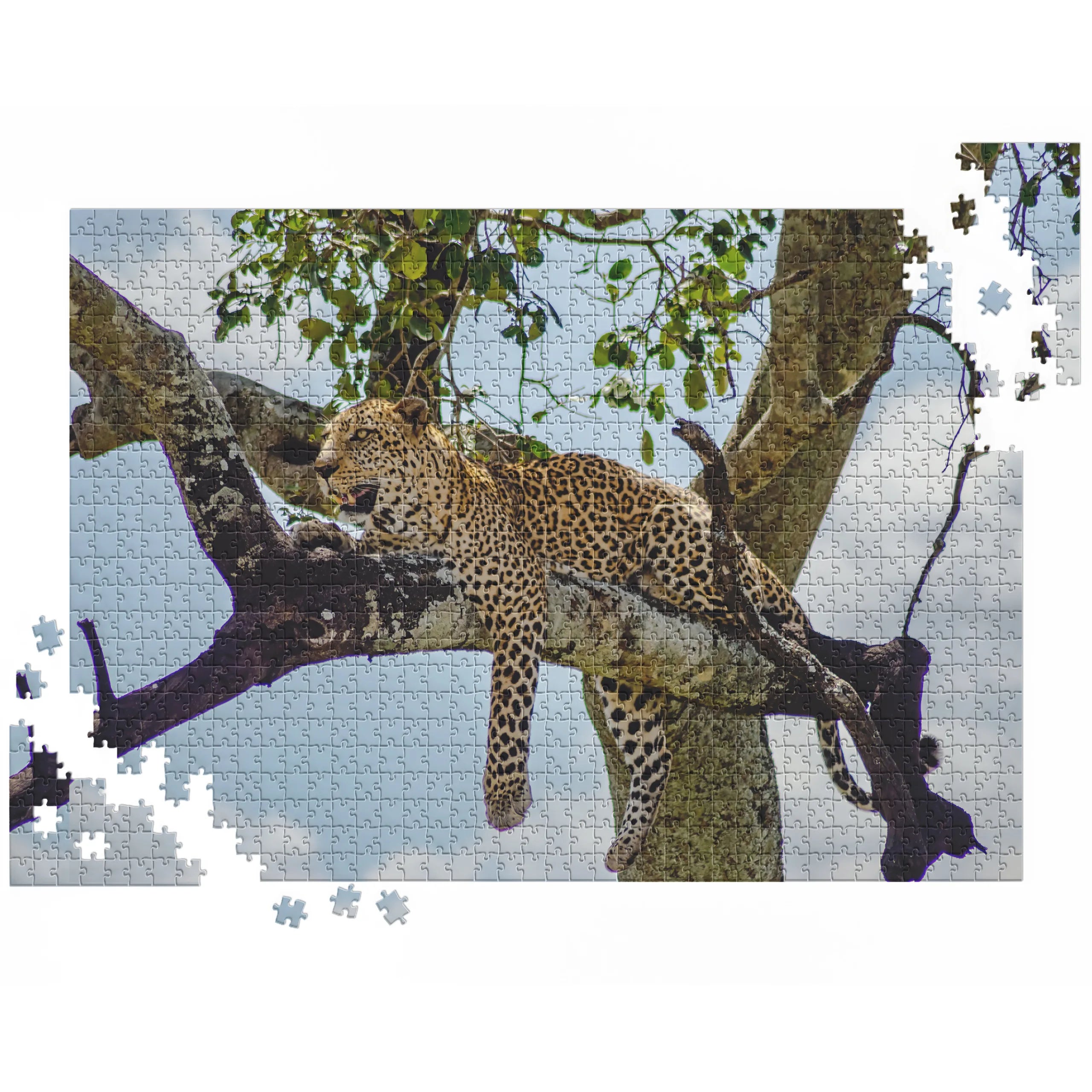Leopard auf Baum