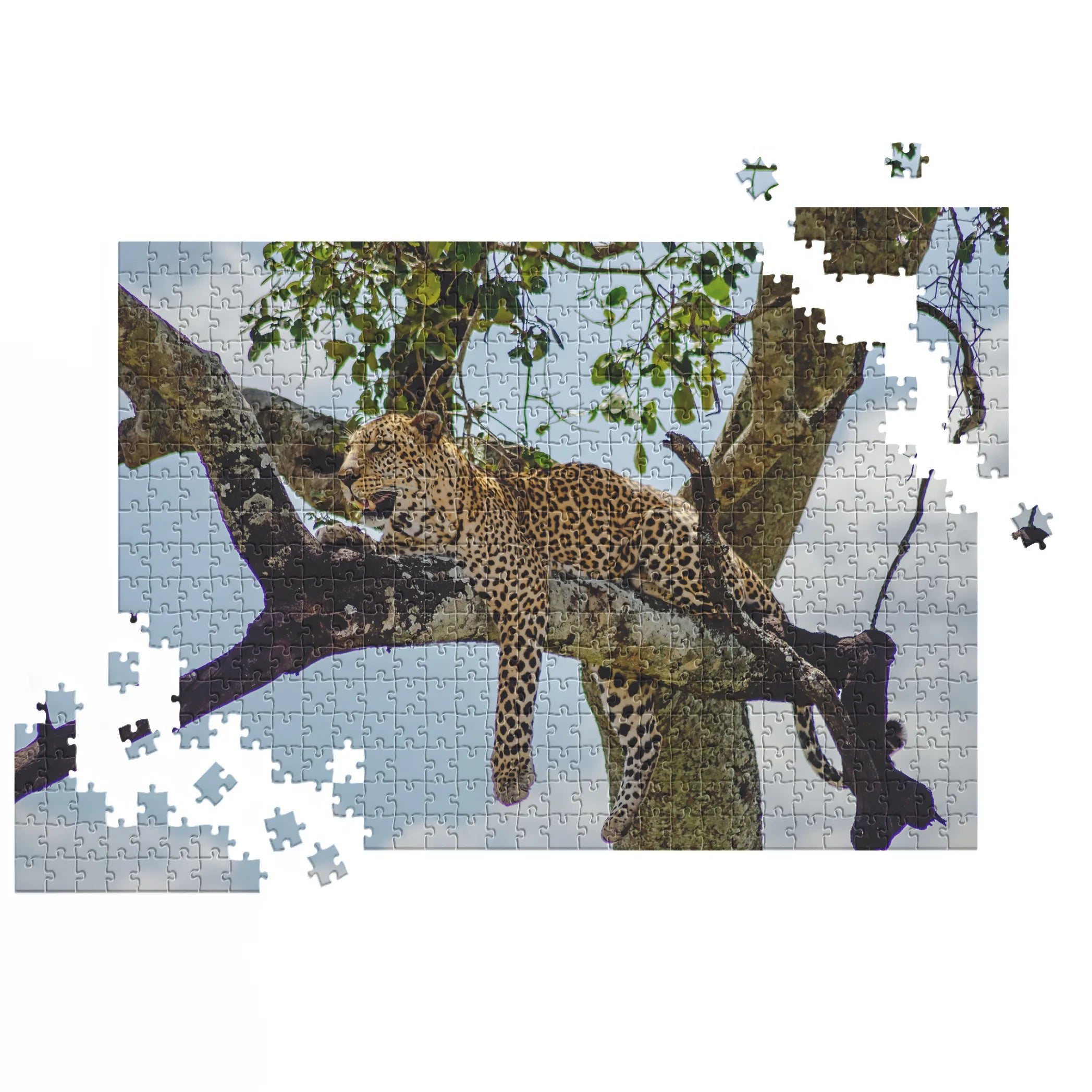 Leopard auf Baum