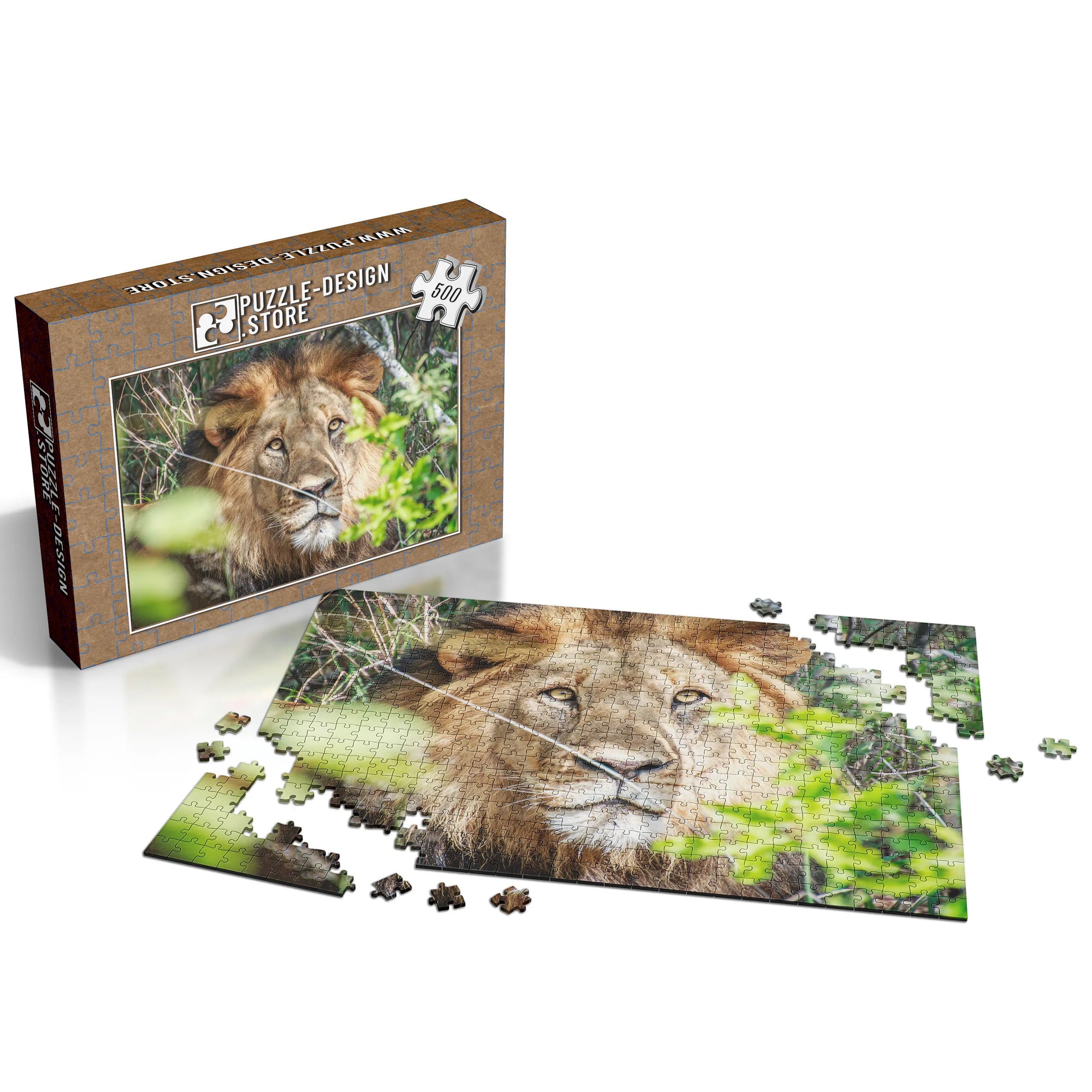 Lion dans les buissons