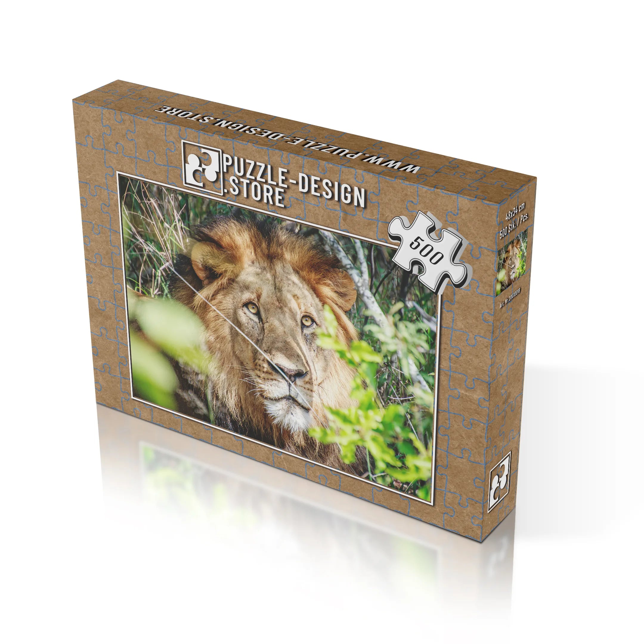 Lion dans les buissons