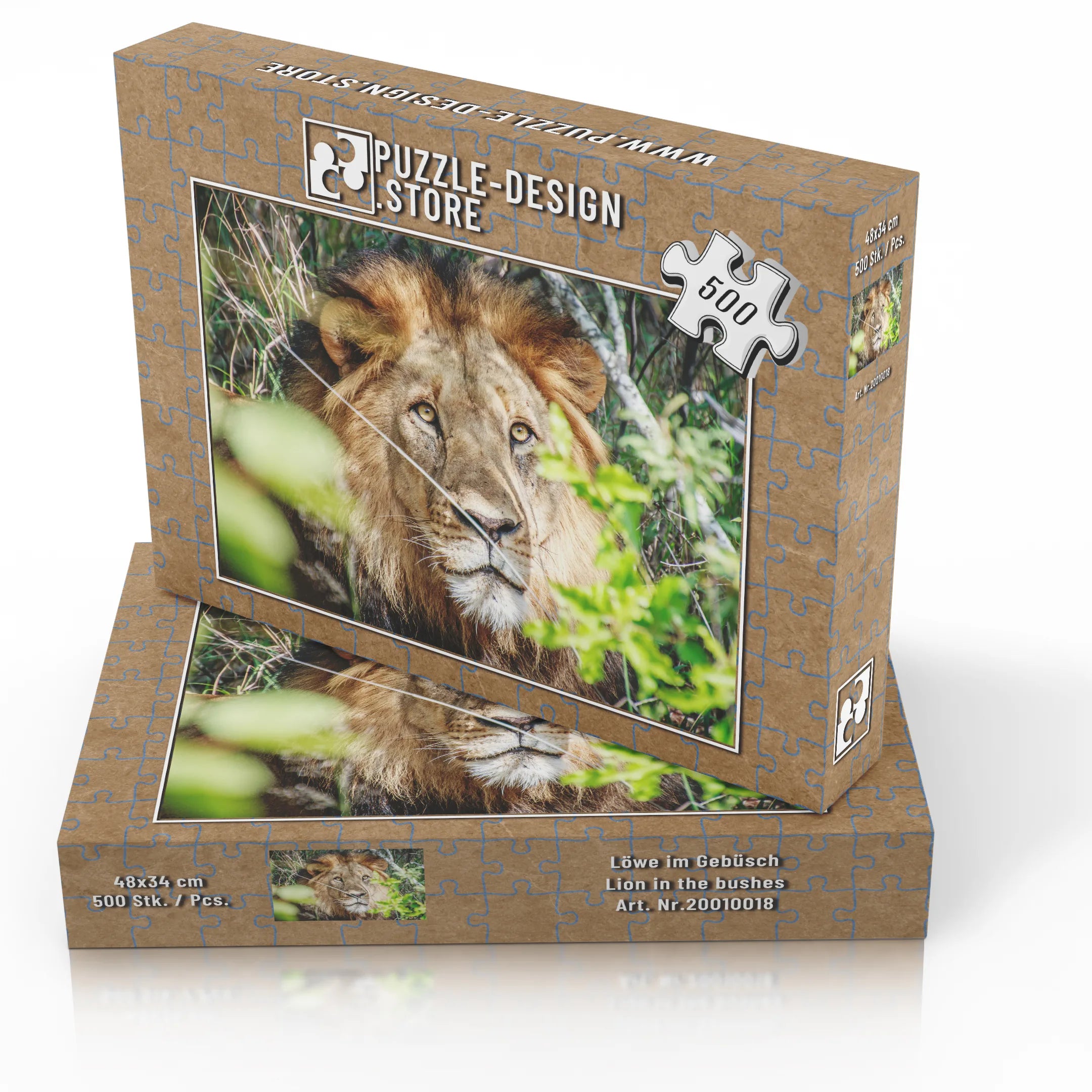 Lion dans les buissons