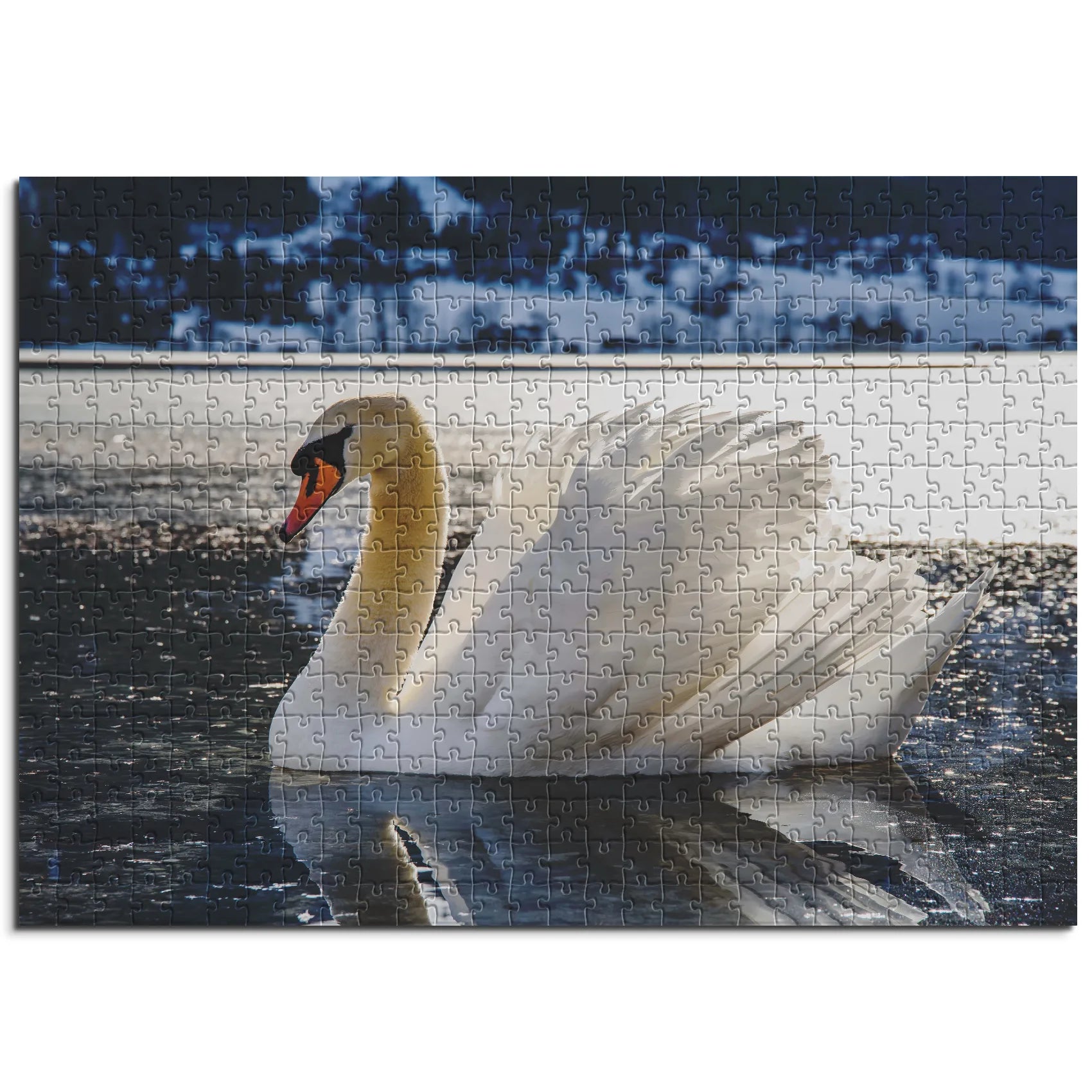 Eleganter Schwan