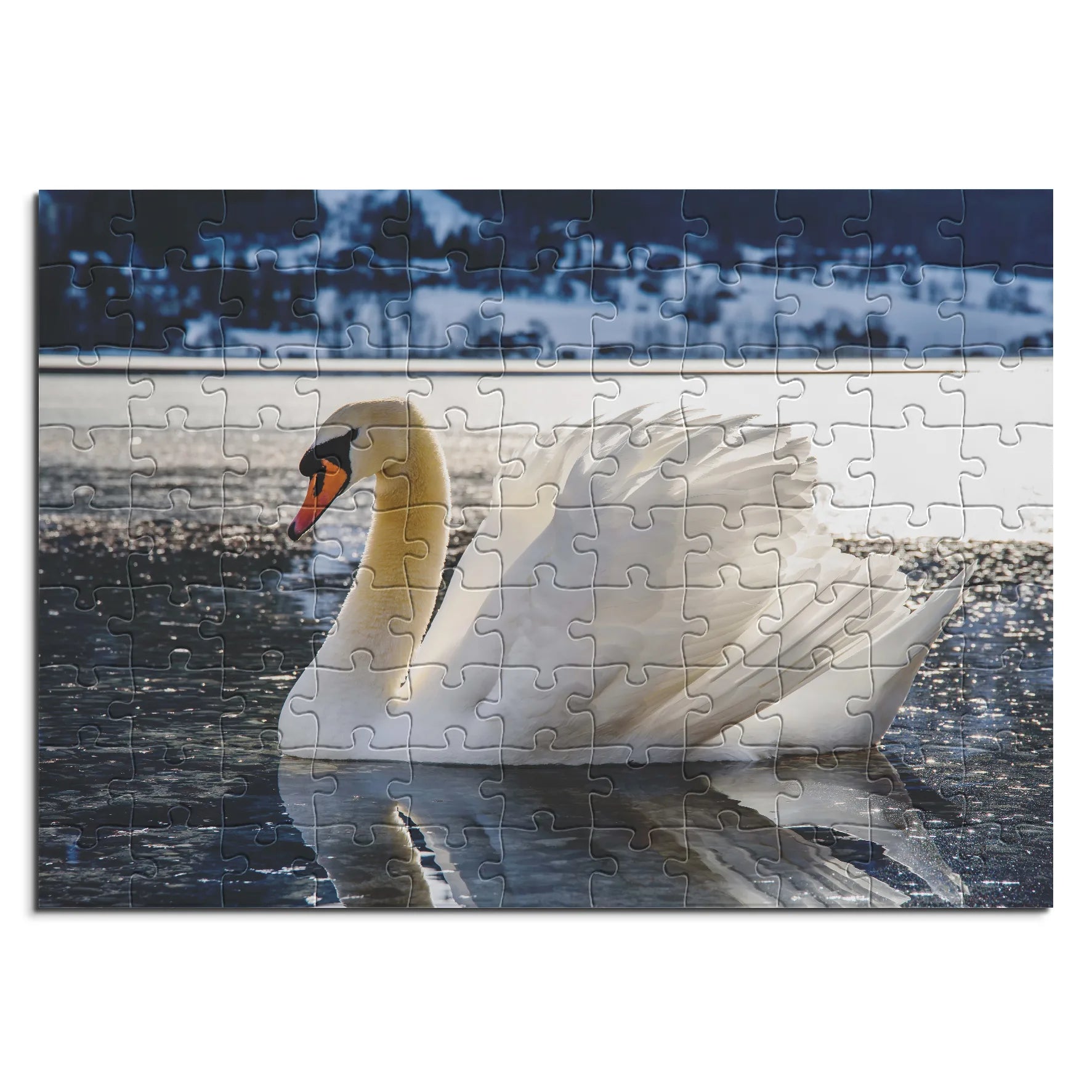 Eleganter Schwan