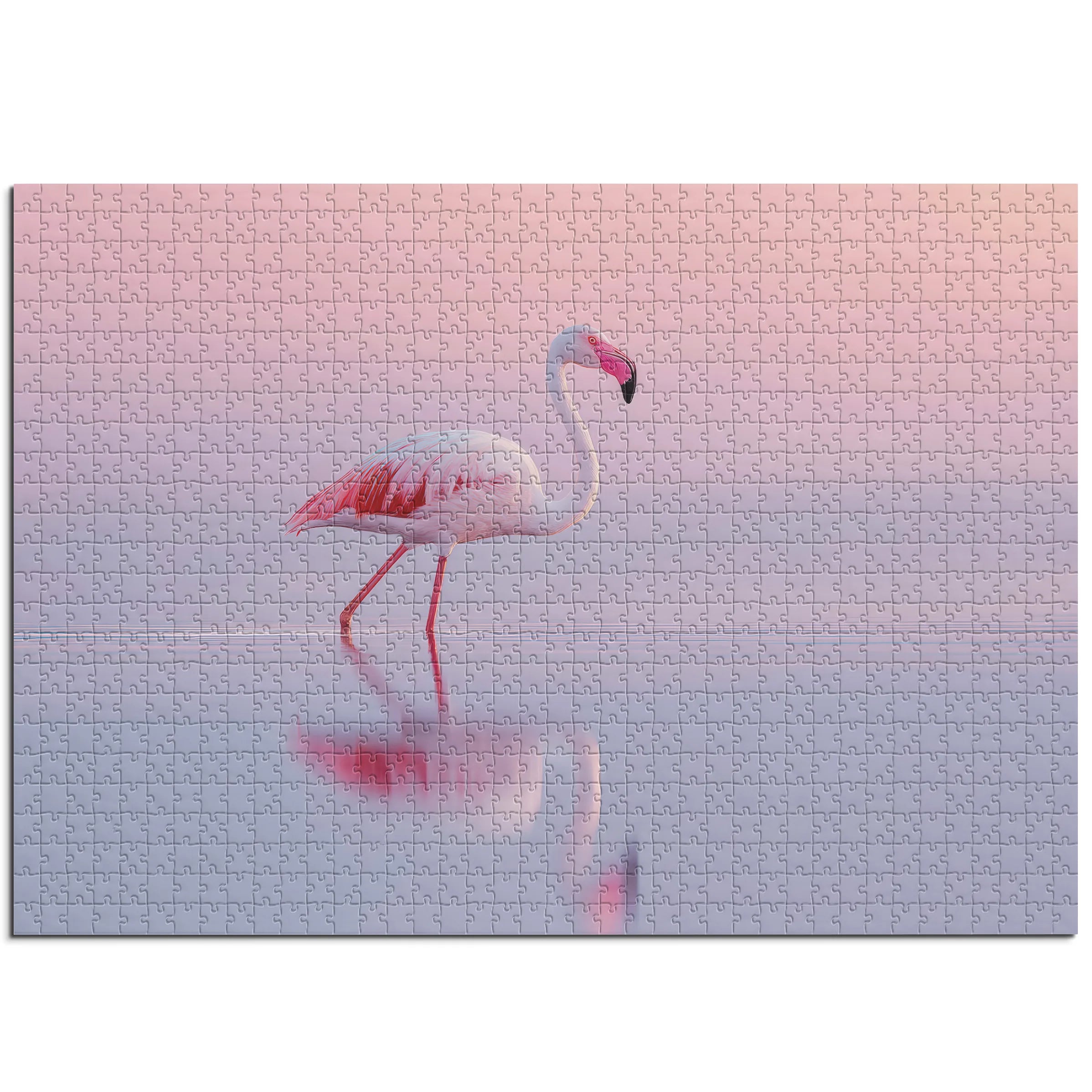 Eleganter Flamingo