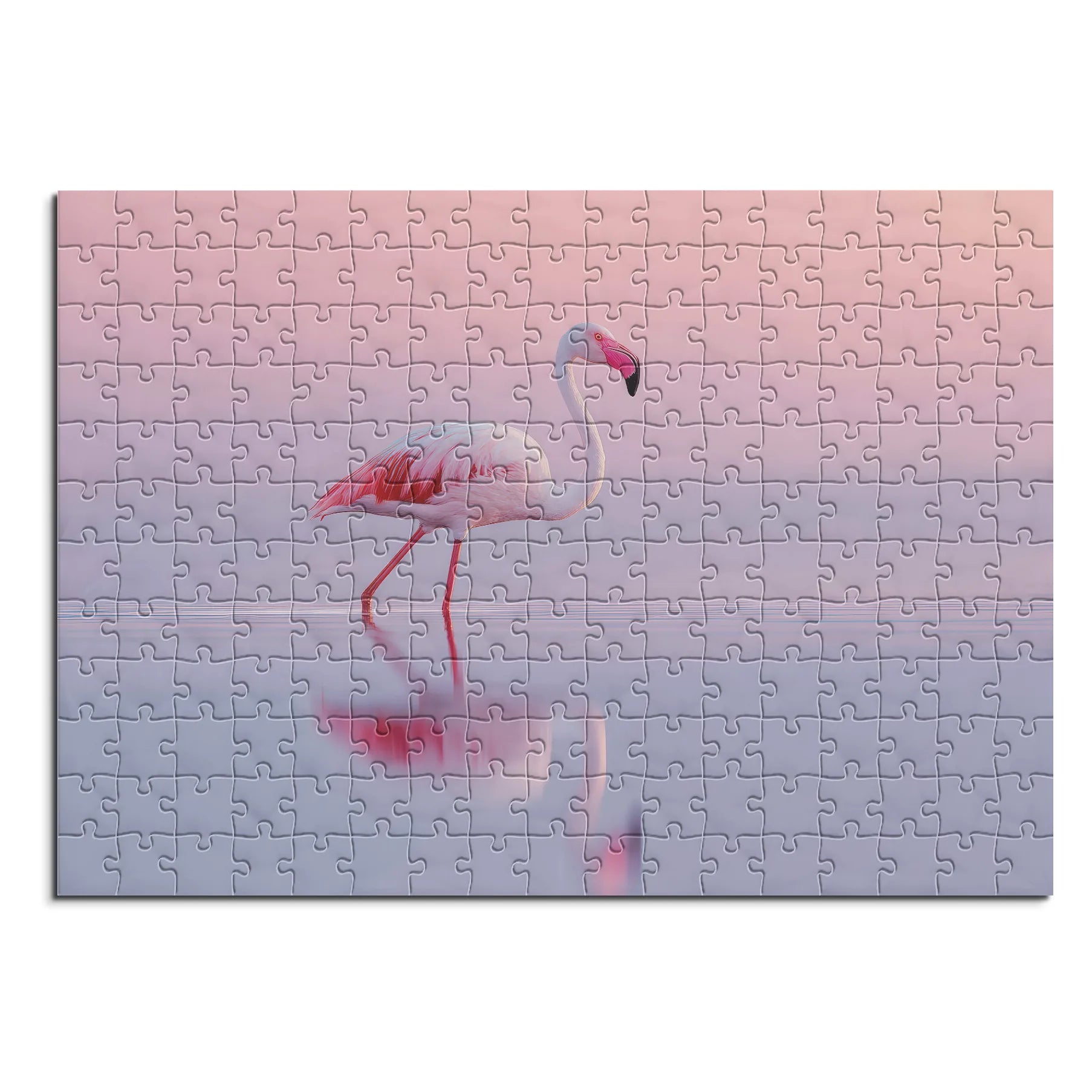 Eleganter Flamingo