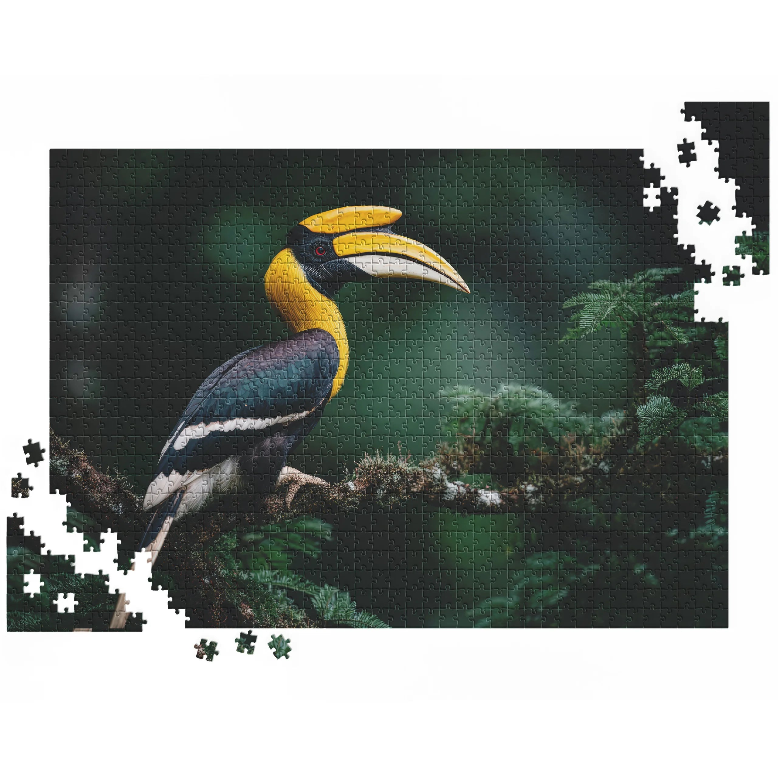 Exotischer Hornvogel