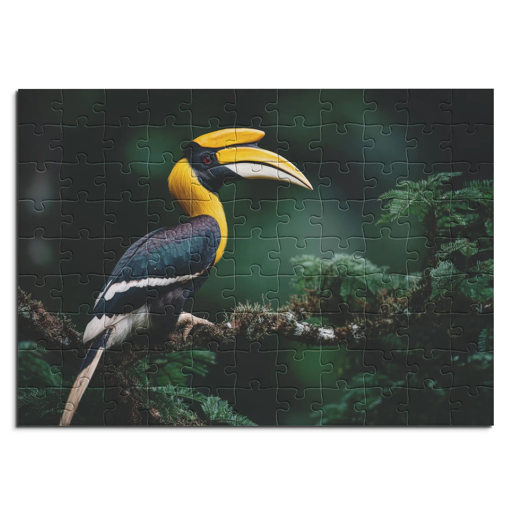 Exotischer Hornvogel