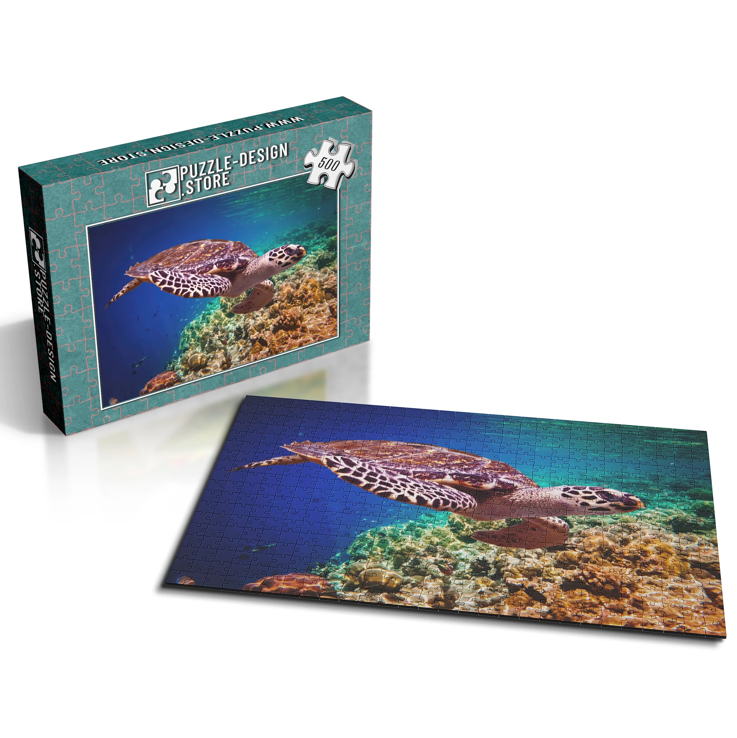 élégante tortue marine